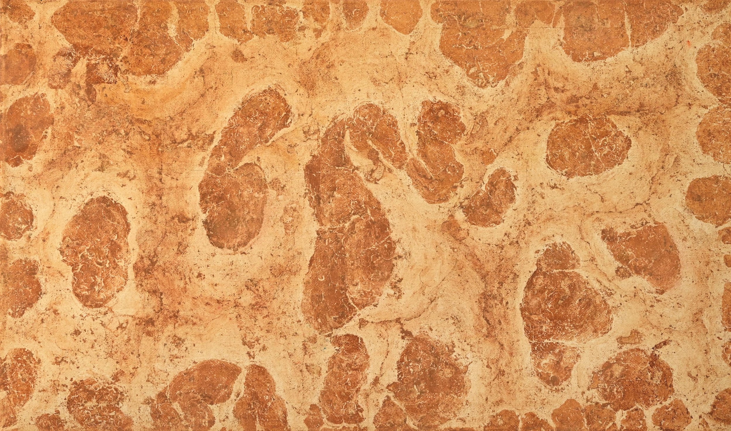 50 X 30 X 1,5 cm