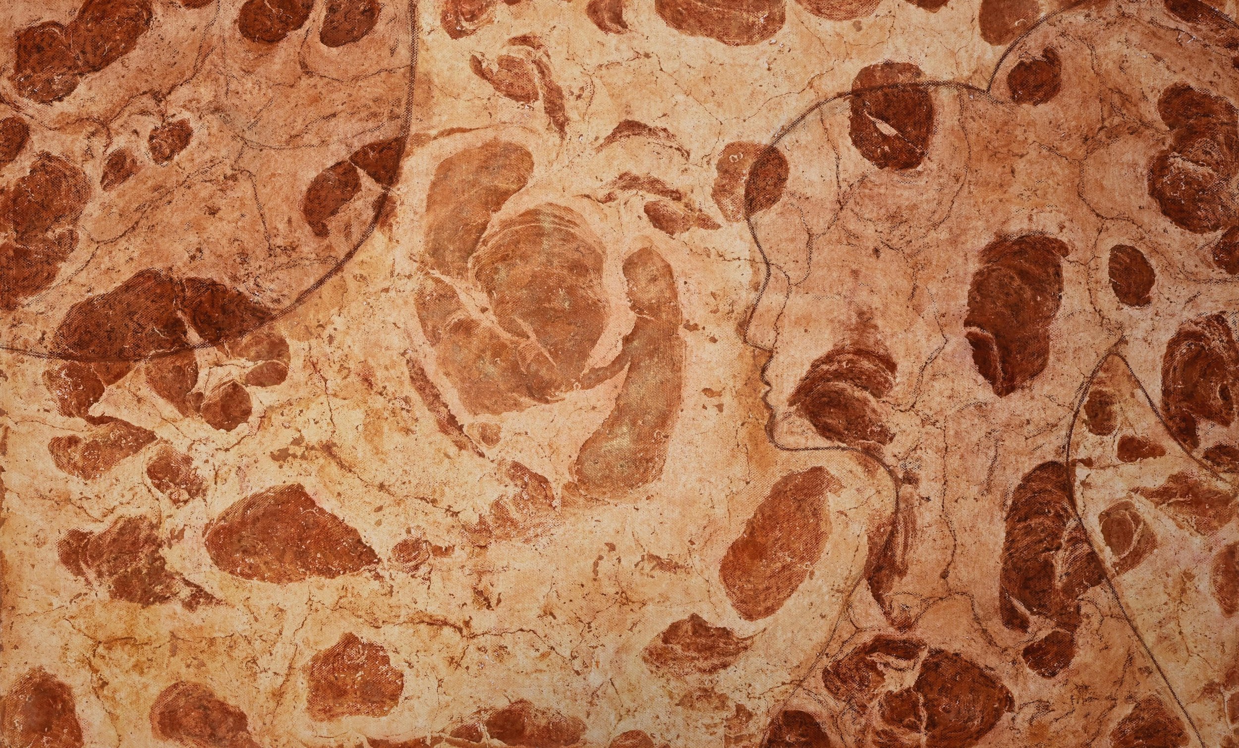 80 x 50 x 3,5 cm