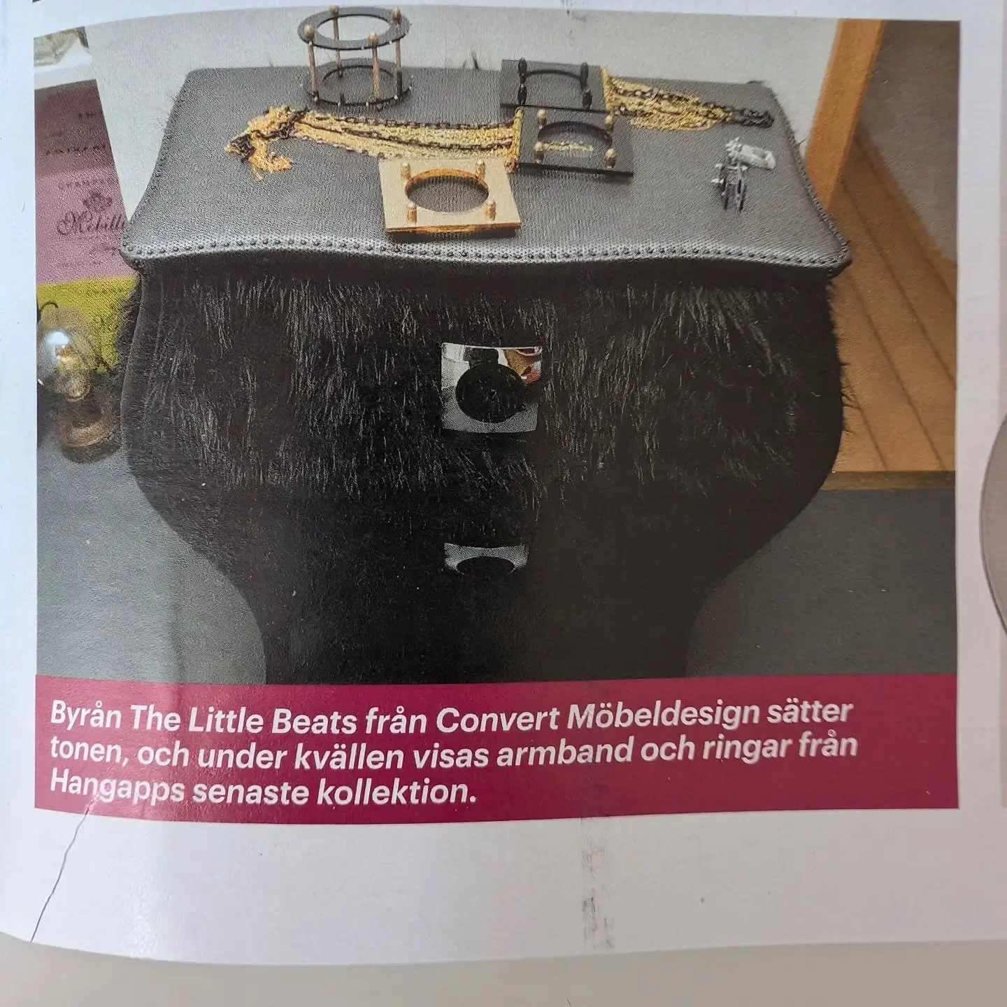 Converts lilla best eller The Little Beast (och inget annat) fick plats i veckans Svensk Damtidning. Ett samarbete med #hangappsthlm 🙌.
Fotograf: Jonas Hessman #hessmanliljeton