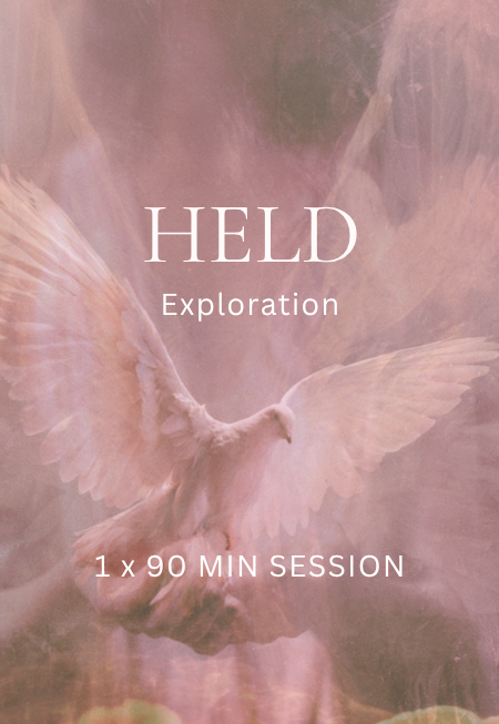 held exploration session.png