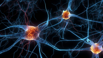 Neurodiversity in the workplace : why employers need a structured pathway