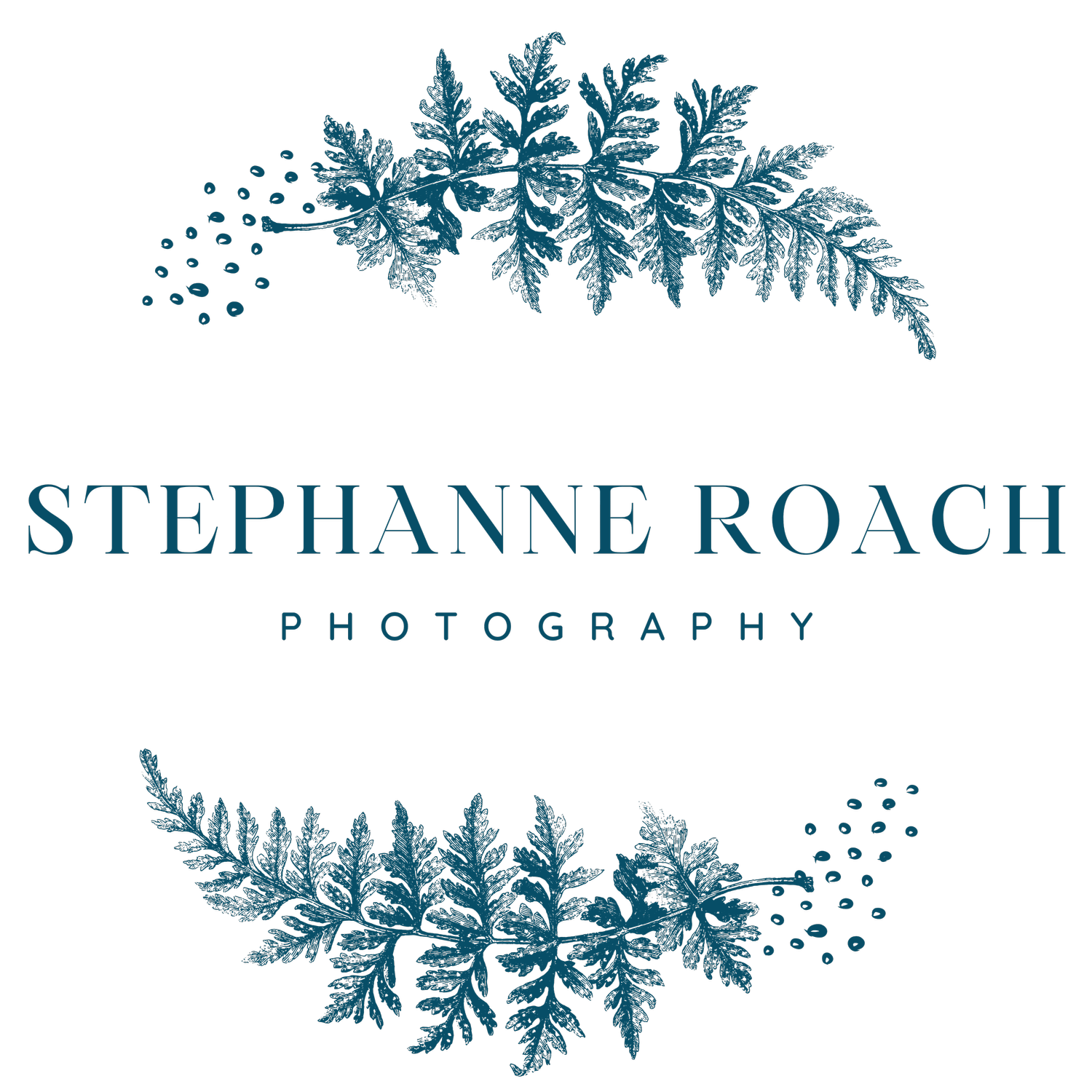 Stephanne Roach Photography