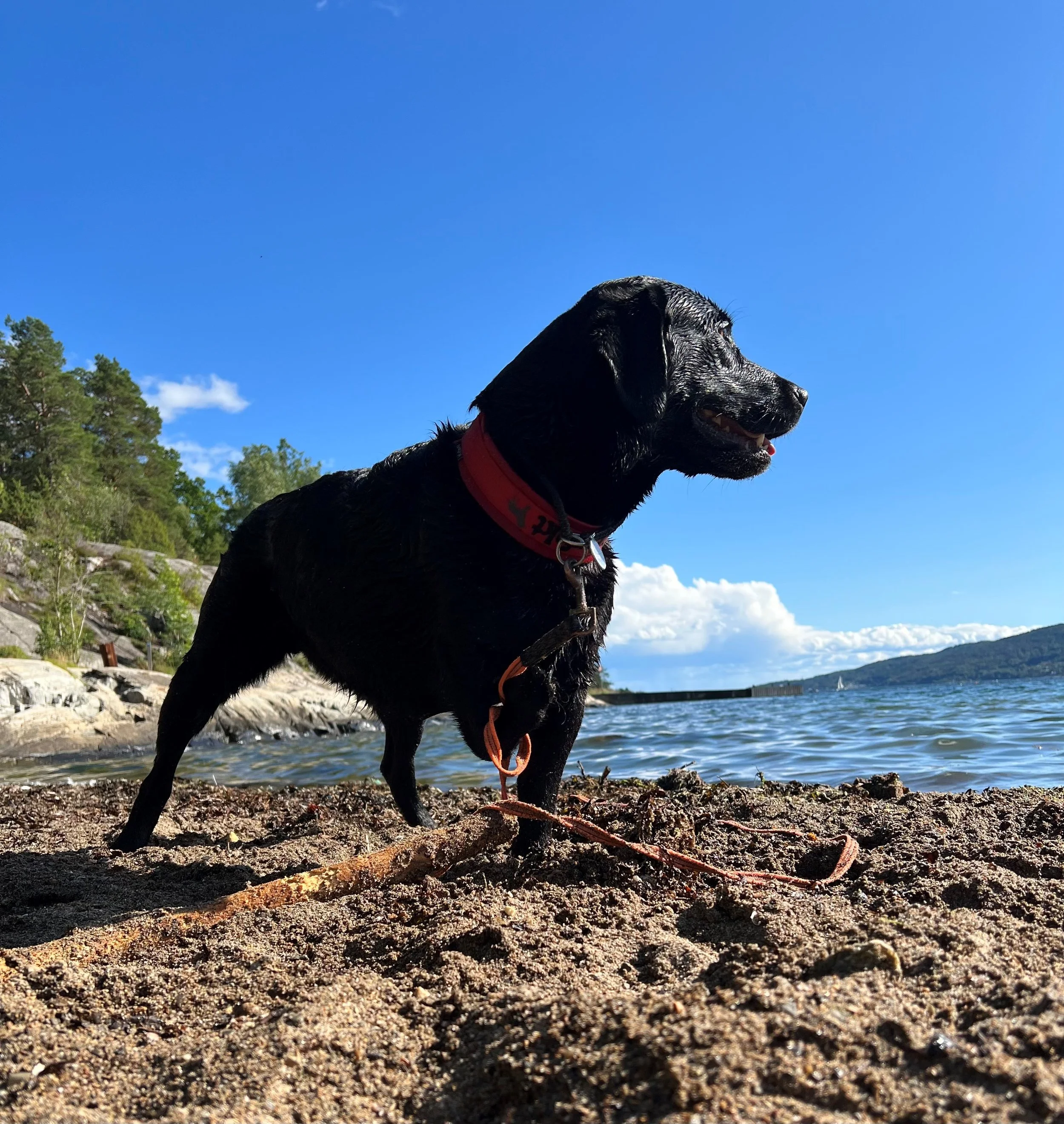 Varme dager og overoppheting