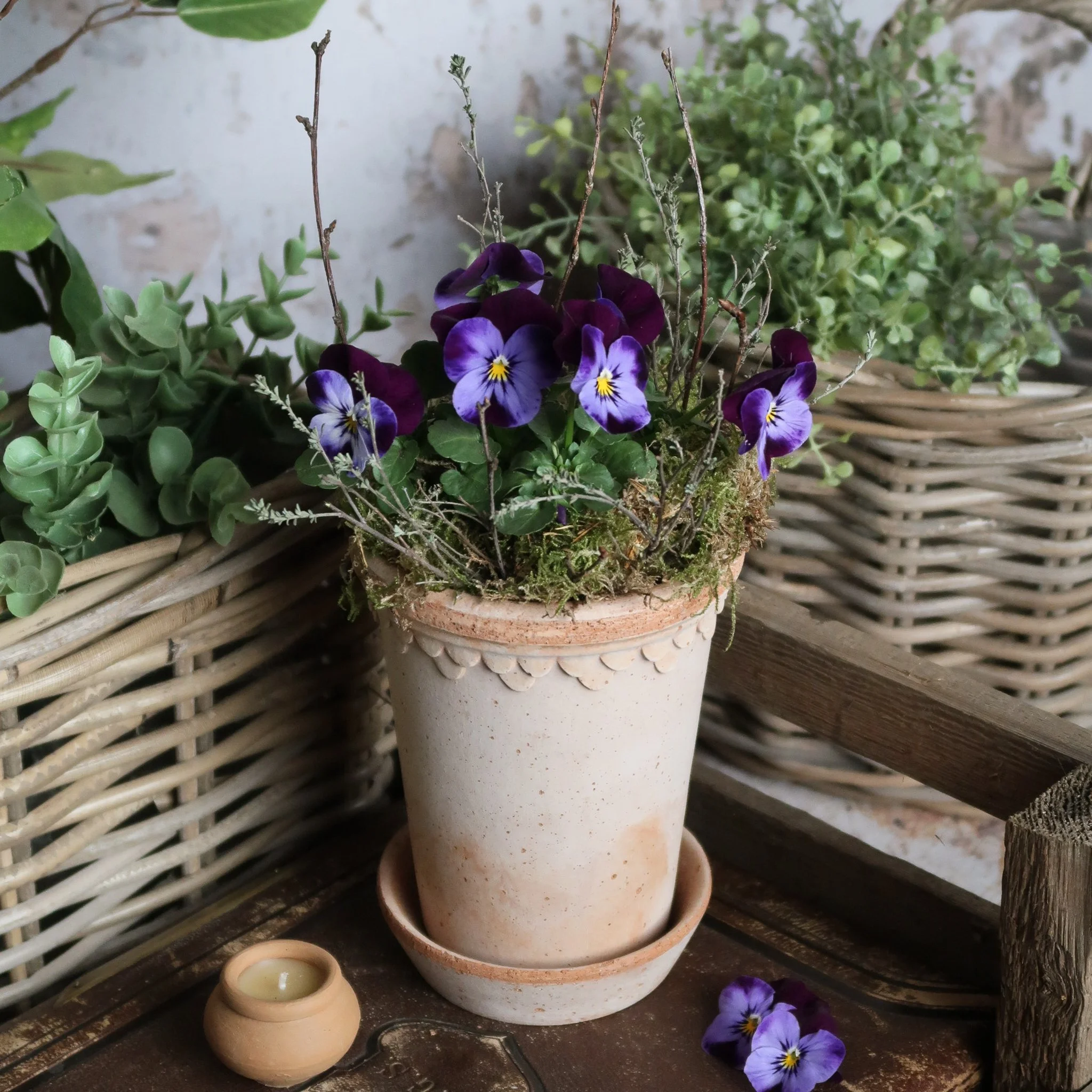 The Scalloped Indigo Viola Kit