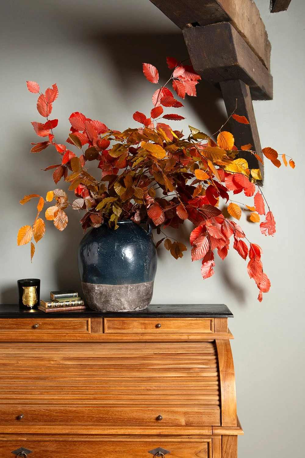 The Preserved Autumnal Beech Box