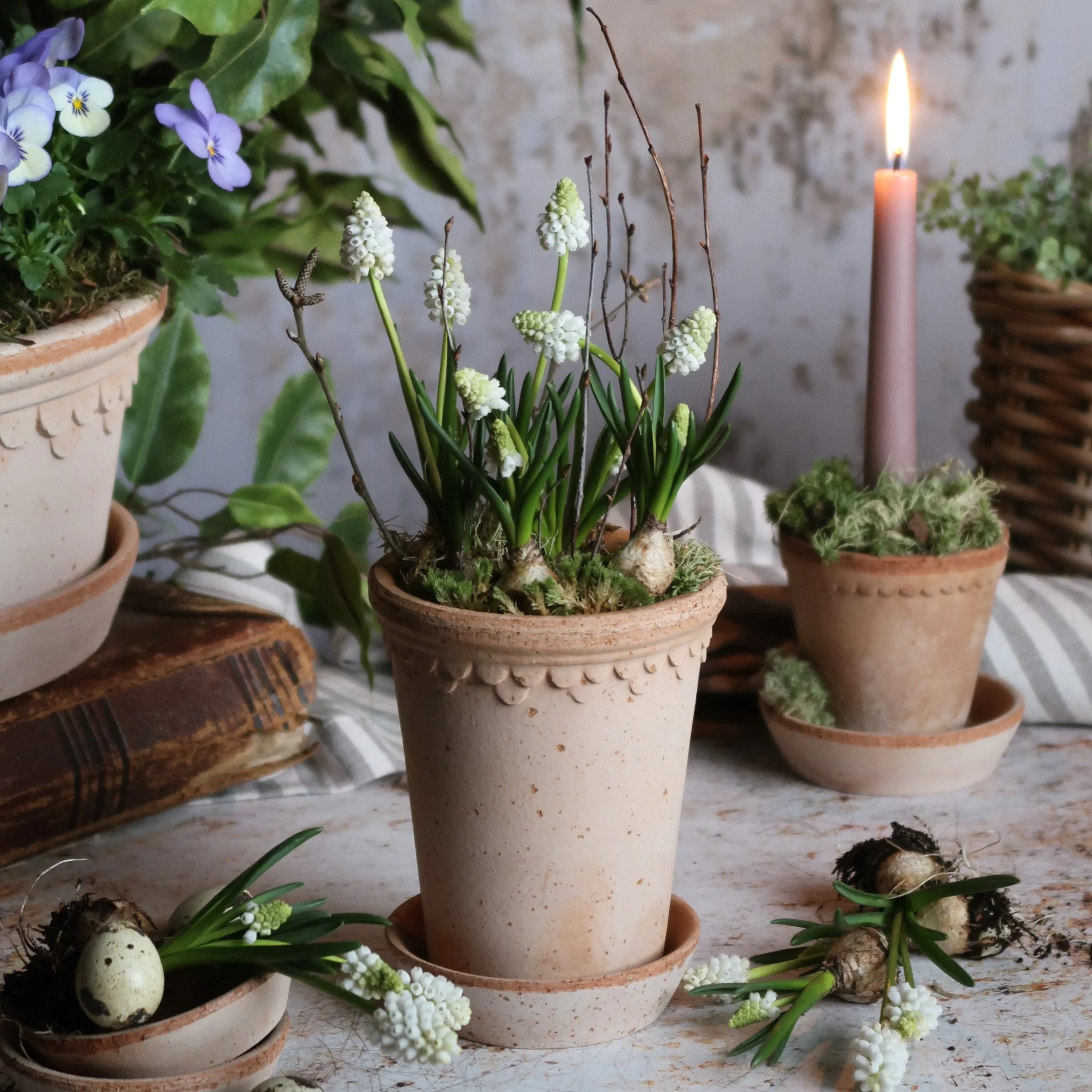 The Scalloped White Muscari & Twig Kit