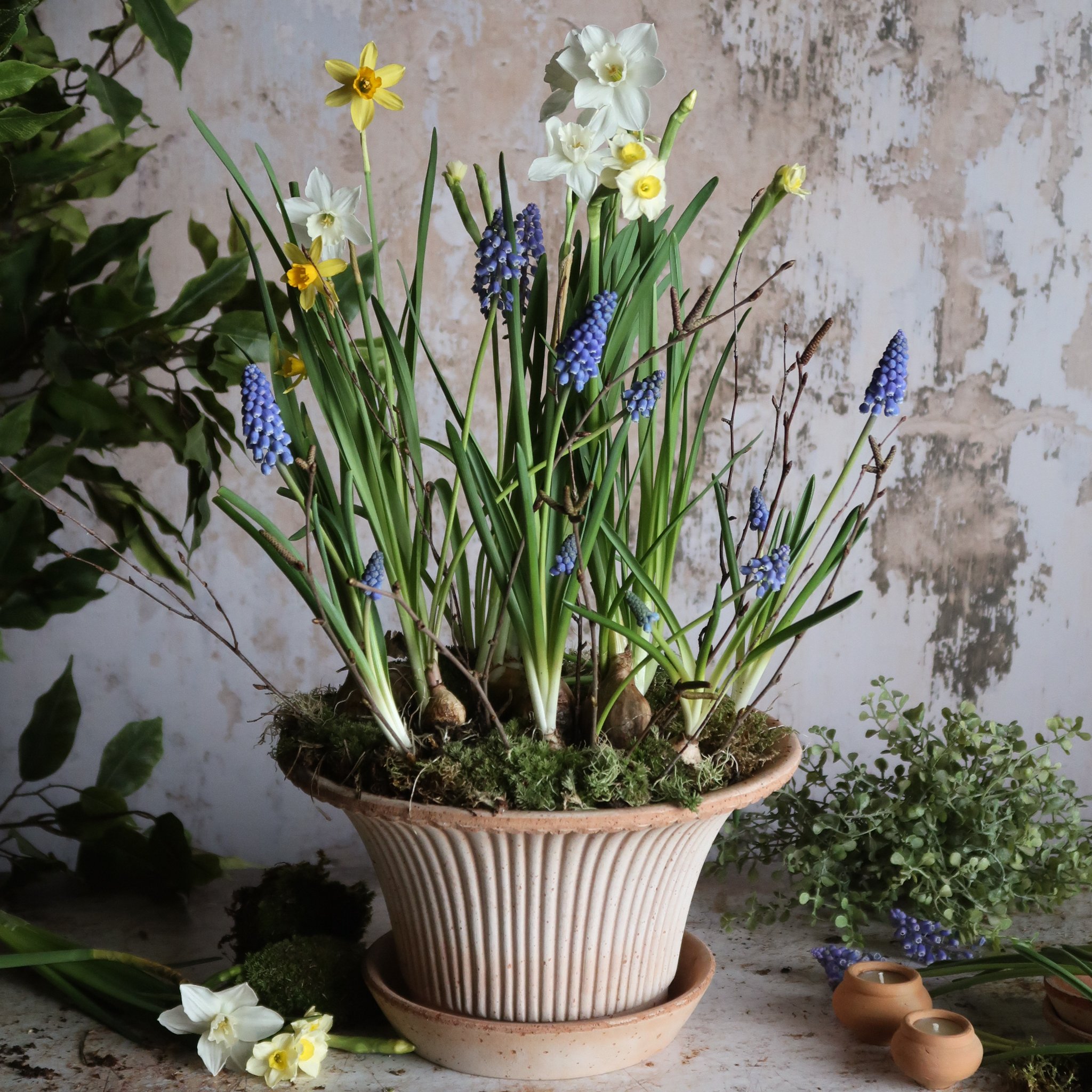 The Ruffled Spring Planter