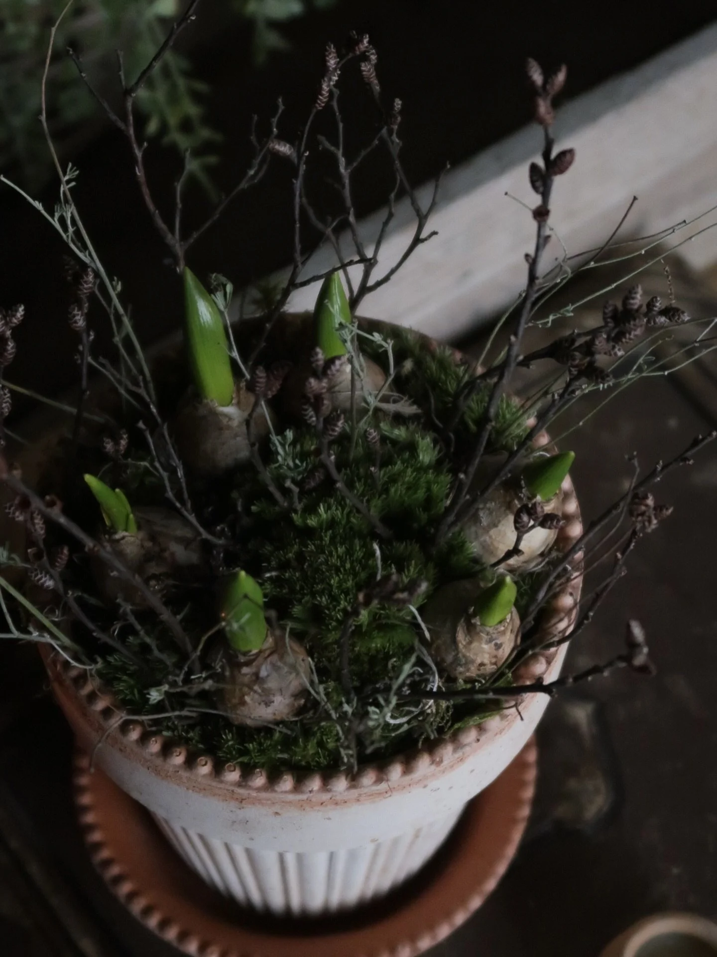 The Refill Kits - everything you need to pot up, except the pot!! Perfect for refreshing your Hello Petal pots &amp; planters or any other container you have at home #hellopetal #plantsbypost #gardening #houseplants #bulbs