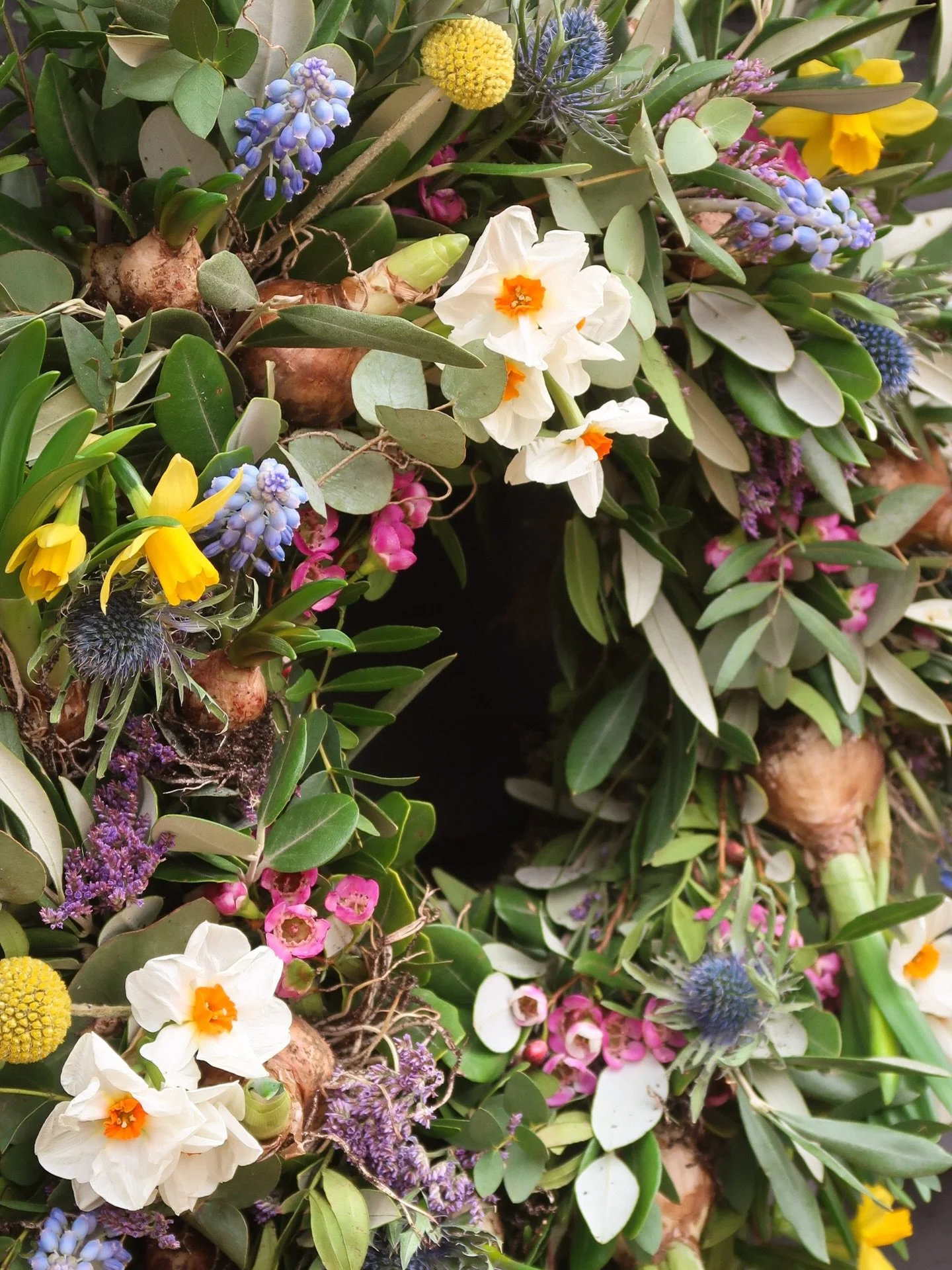 The Spring Wreath Kits - everything you need, delivered to your door. Our kits are full to the brim with ingredients to make the most beautiful spring wreath. Here&rsquo;s what is in each &amp; every box -

🌱 Ruffled Narcissi bulbs
🌱 Buttery Tete a