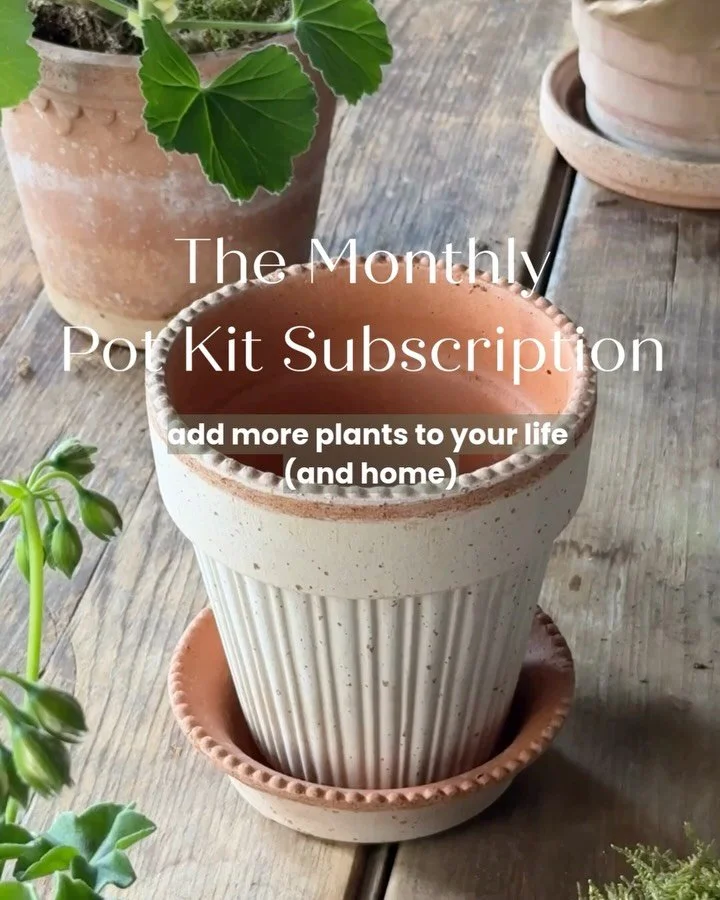 The Pot Kit Subscription &amp; everything you need to know about this monthly box of joy 

🌱A different style &amp; size of pot each month (including trios, planters, 10cm, 12cm &amp; 14cm pots)

🌱Seasonal plants to style in your home - elevating y