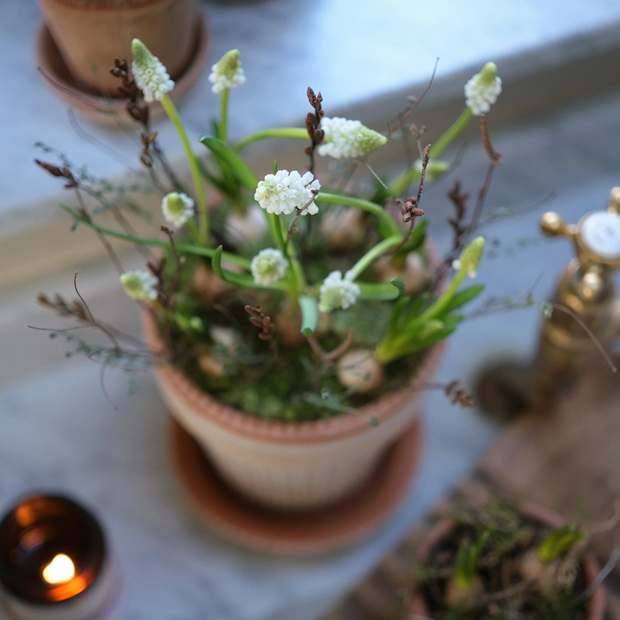 The Large White Muscari & Twig Kit