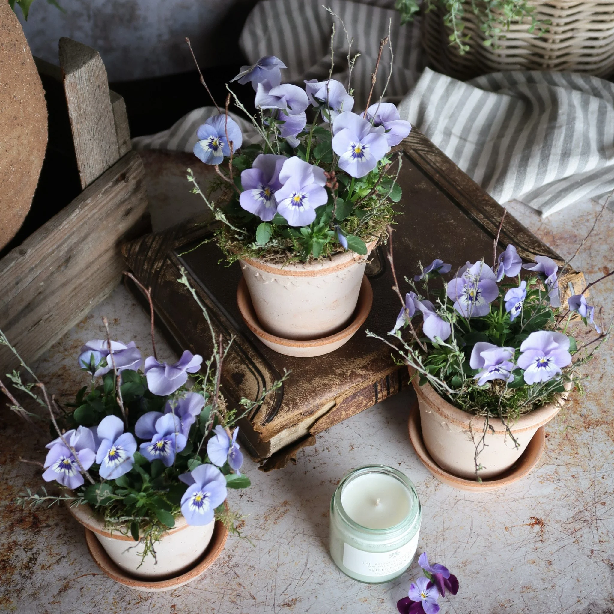 The Scalloped Trio of Pots Ø10cm