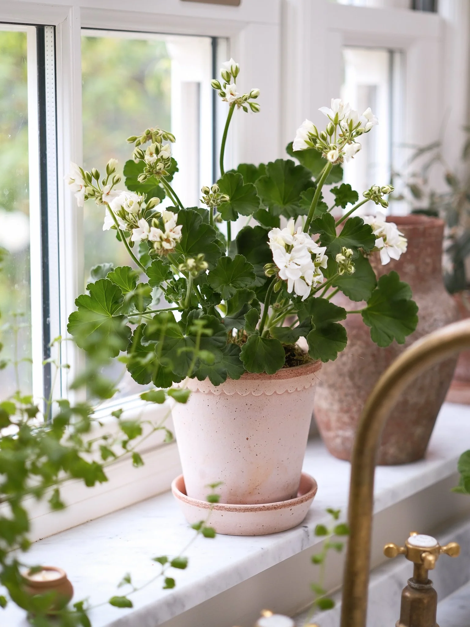 The Scalloped Pot Ø14cm