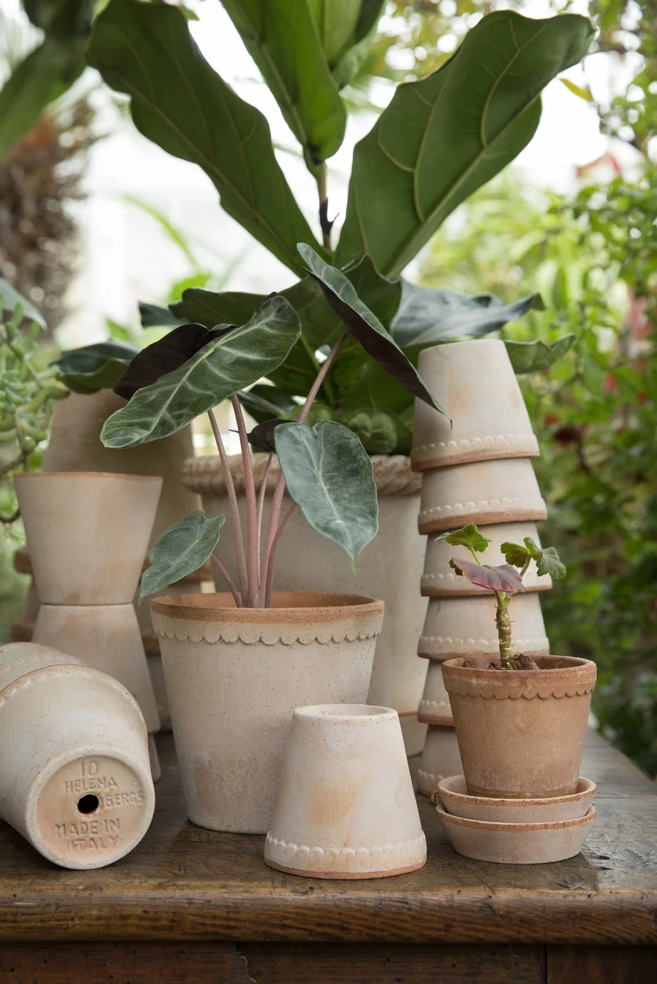 Bergs Potter Helena Raw Rosa 10.jpg