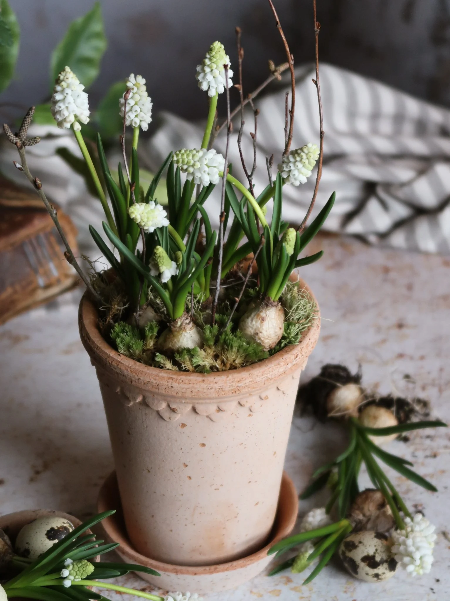 The White Muscari, Moss & Twig REFILL KIT