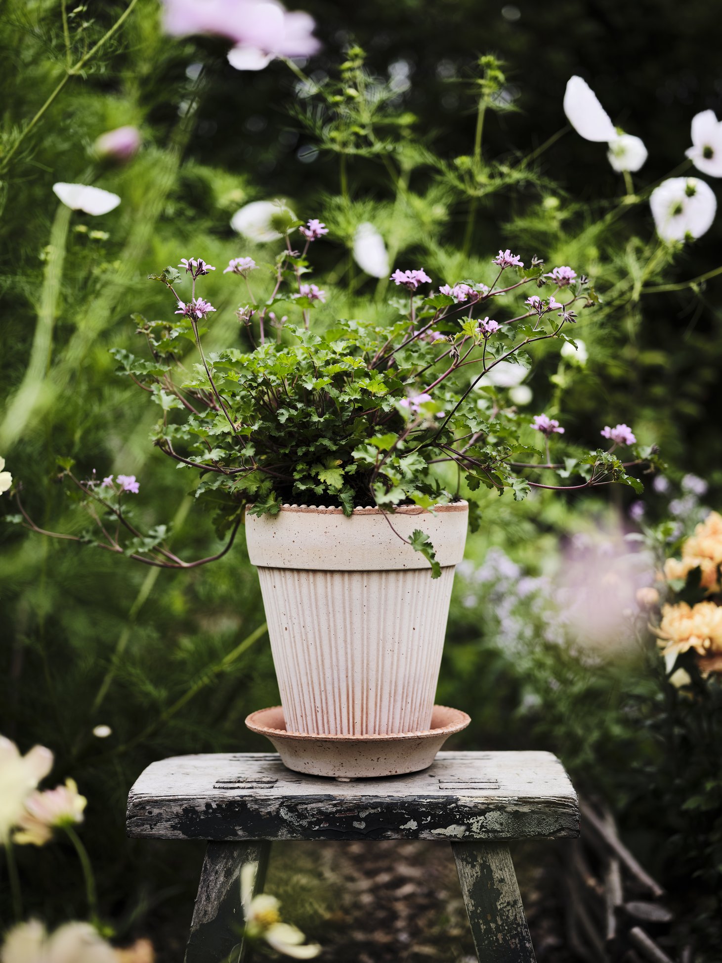 The Parisian Pot Ø16cm