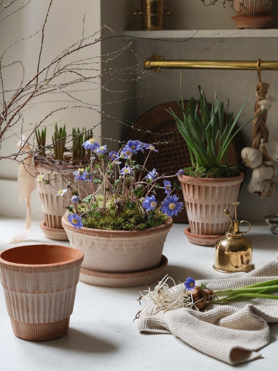Bergs-Potter_raw_Pantheon_K%C3%B8benhavner_low_Atlas_mixed_raro_+27.01.25%2C+13+17+59_SpringSpiration_VA.jpg