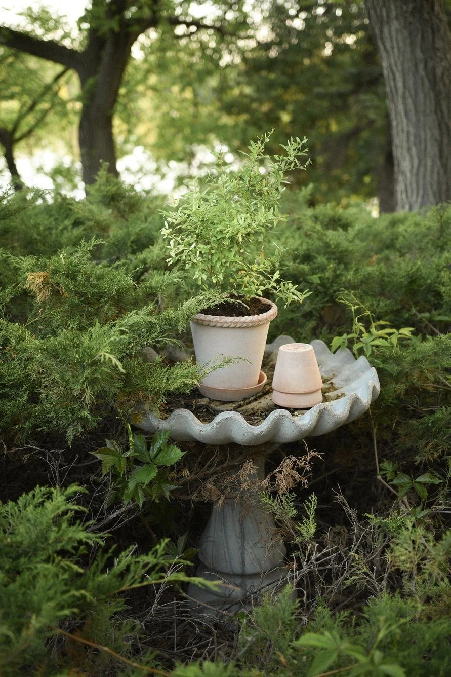 The Emilia Pot Ø18cm