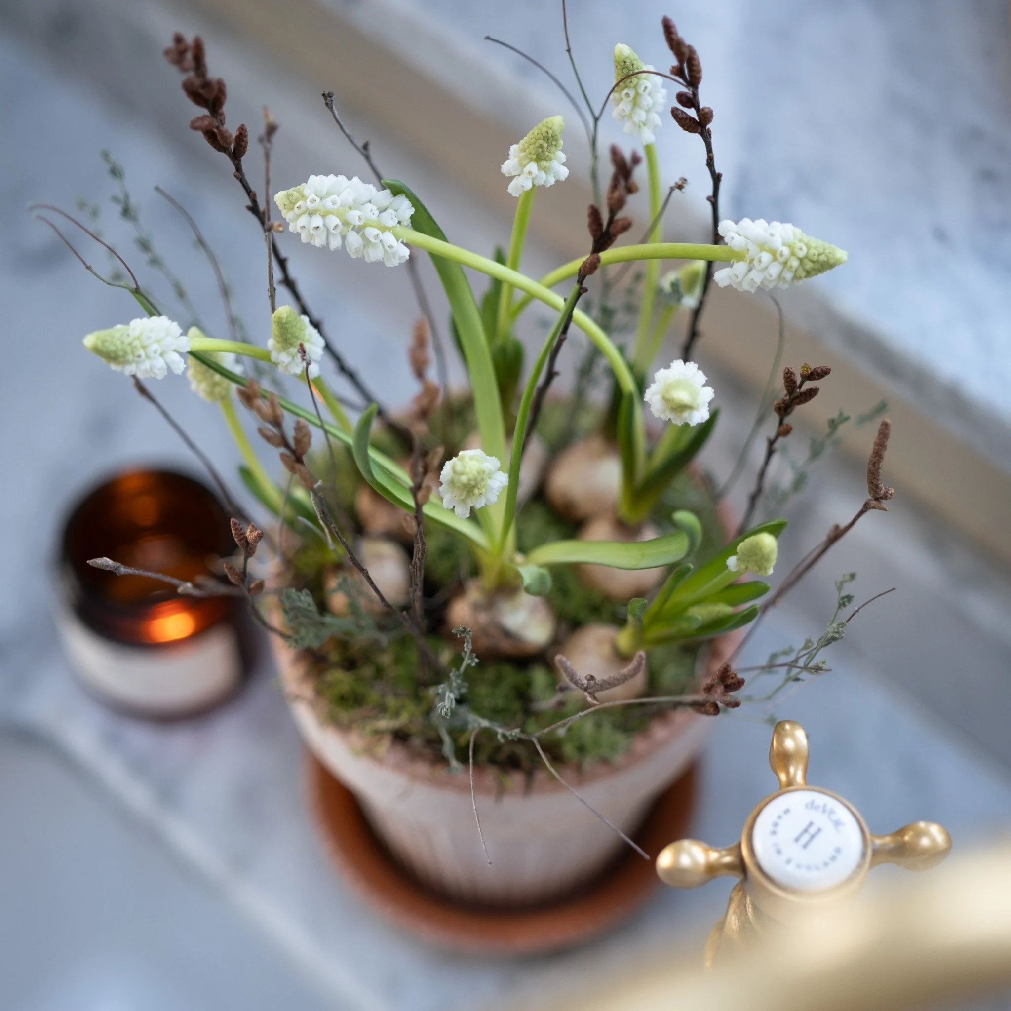 The White Muscari & Twig Kit