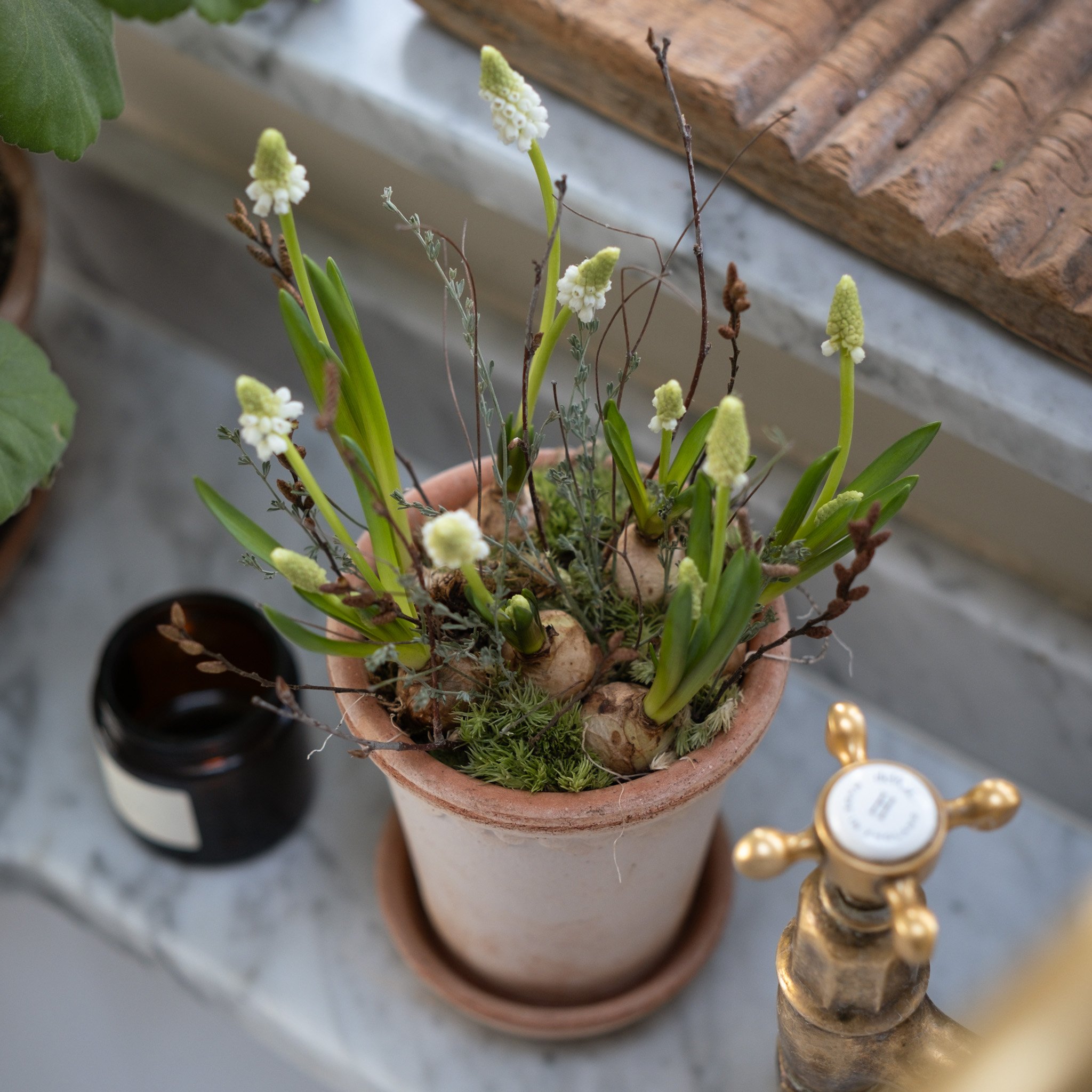 The Scalloped White Muscari & Twig Kit