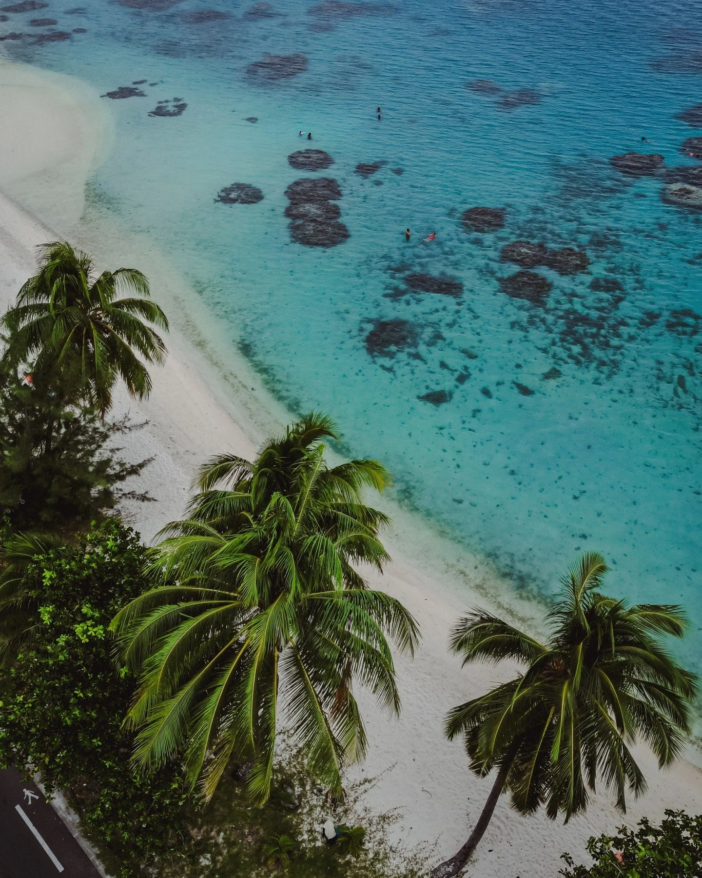drone shot at Matira Beach 🏝
#boraboraphotographer #photographer #frenchpolynesia