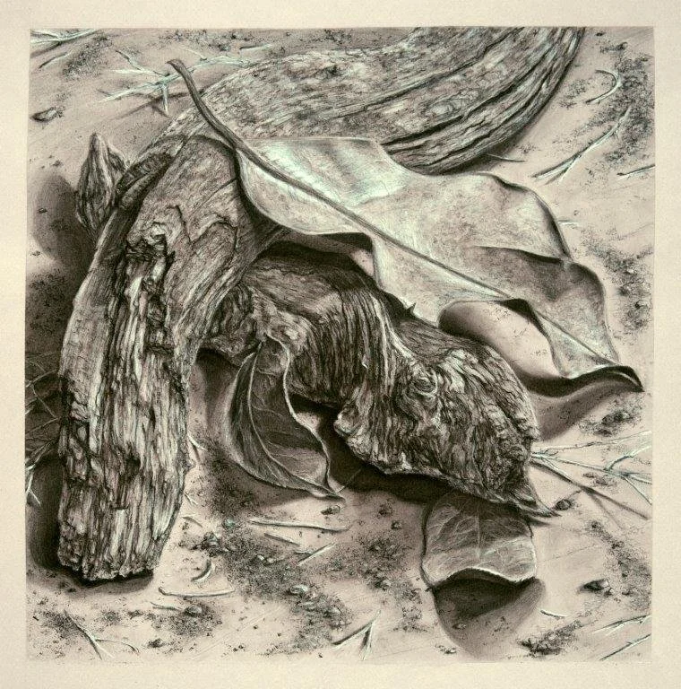 “Grayscale Study” Sydnay Greene
