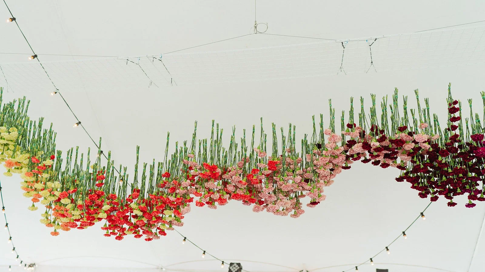 Upcoming Wedding Trends