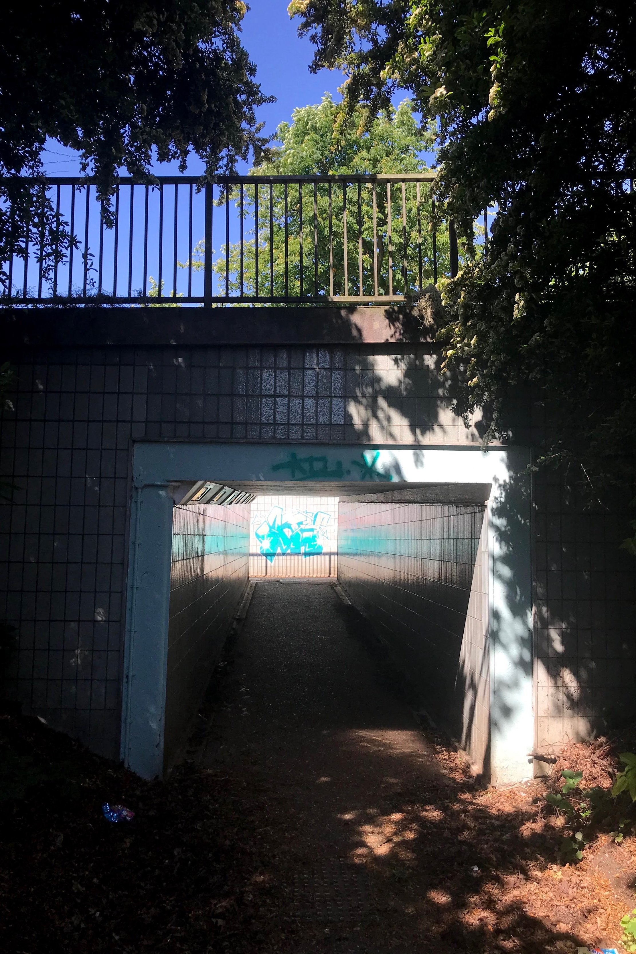 image3-1.jpg