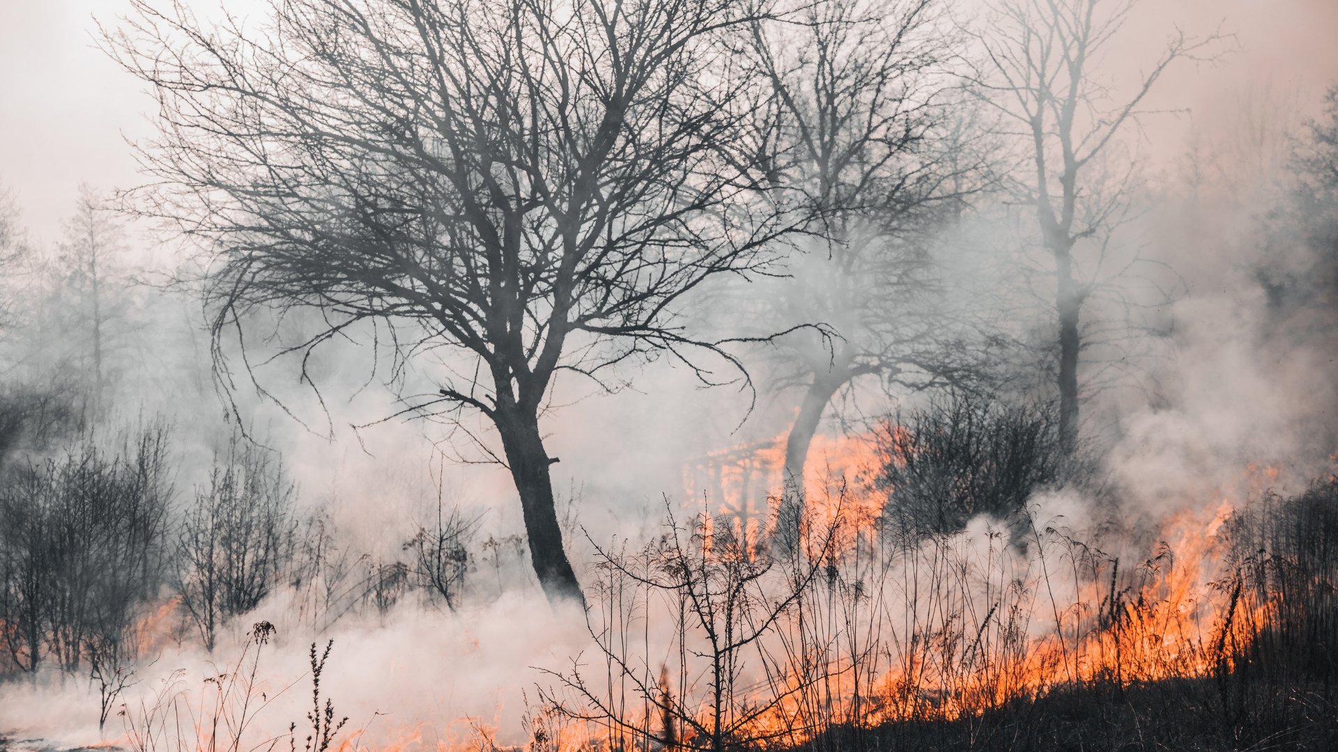 Behavioral Health Resources Available for Nebraskans Affected by Wildfires