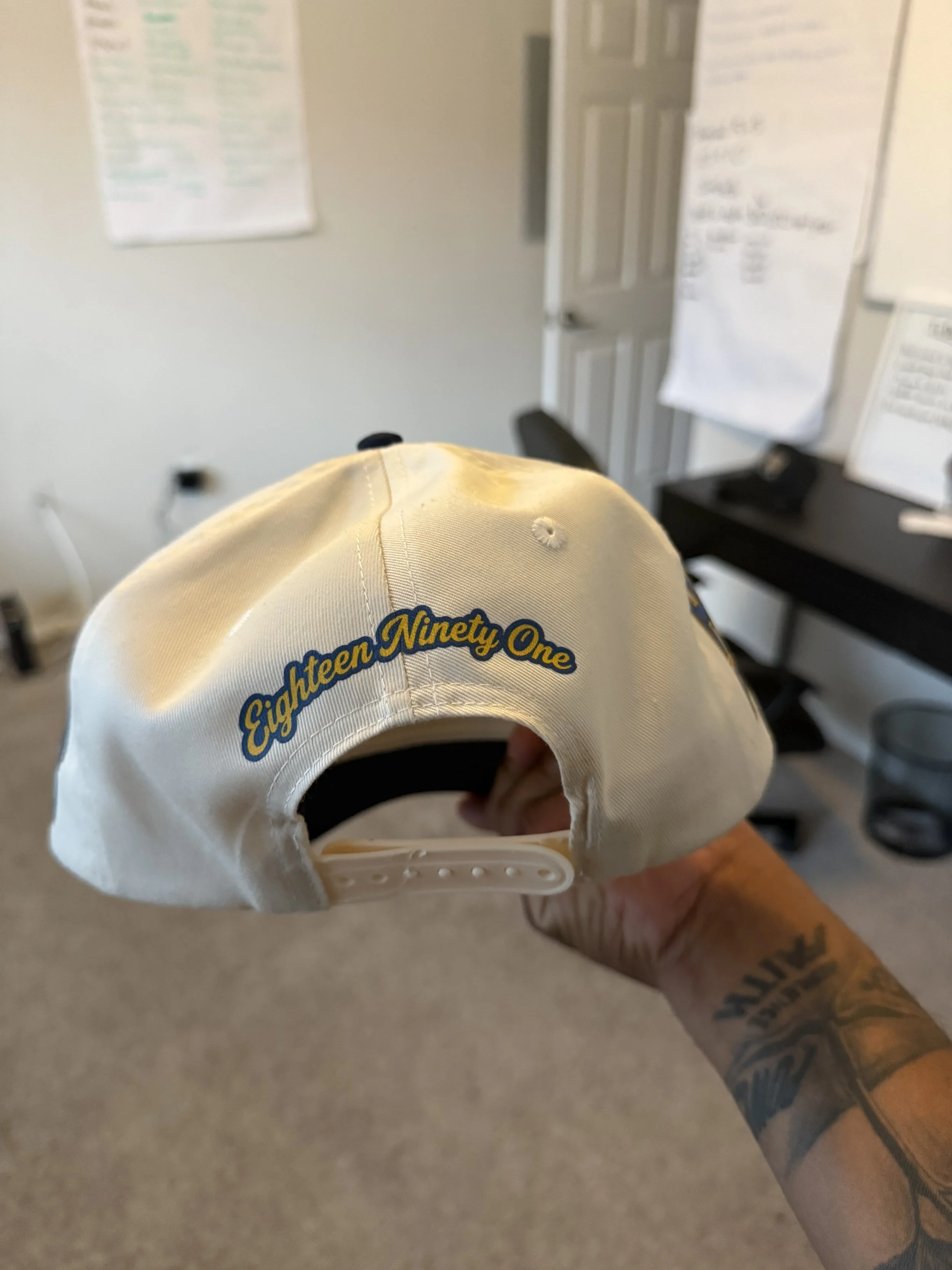 ncatback.jpeg