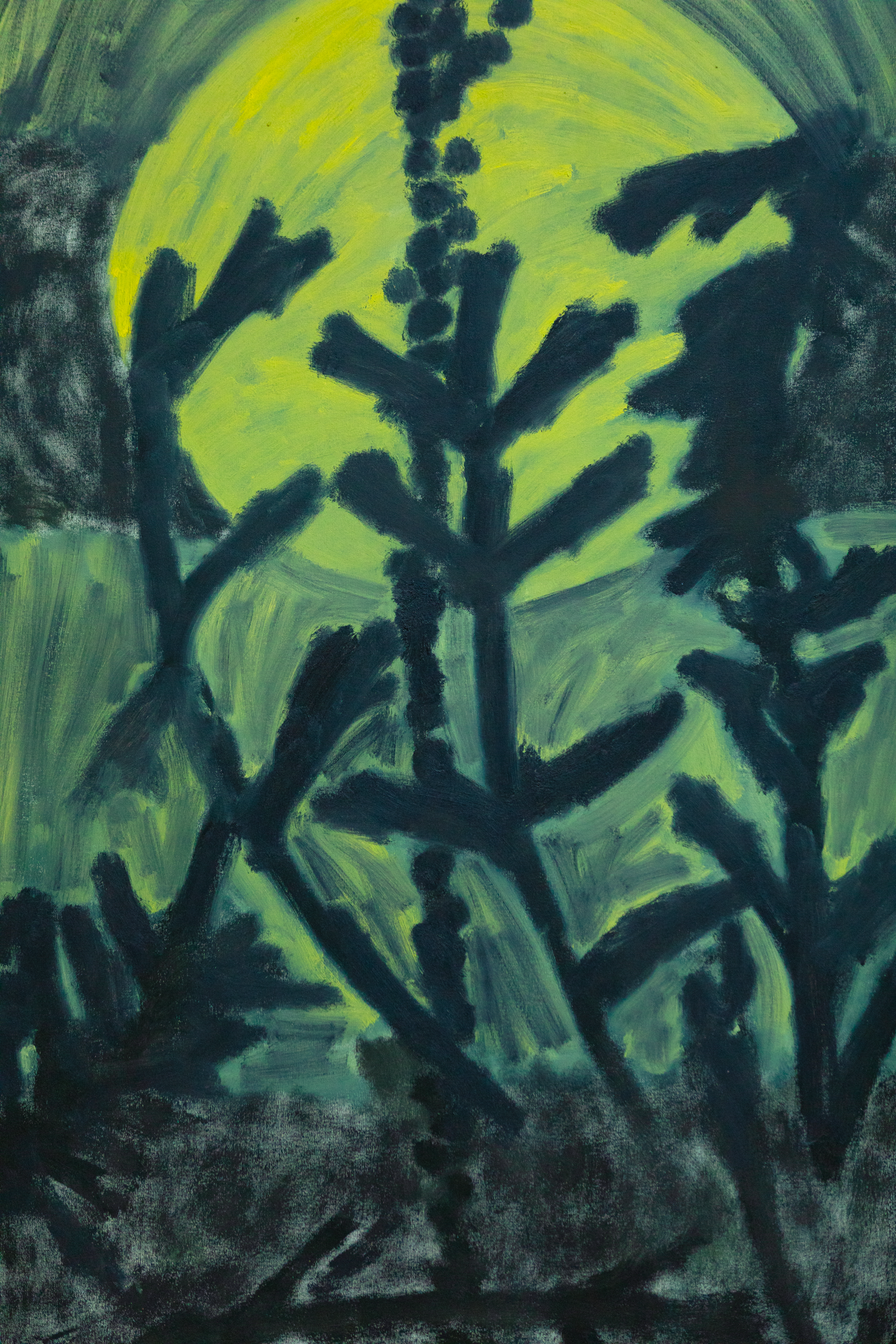 8E5A8673.png