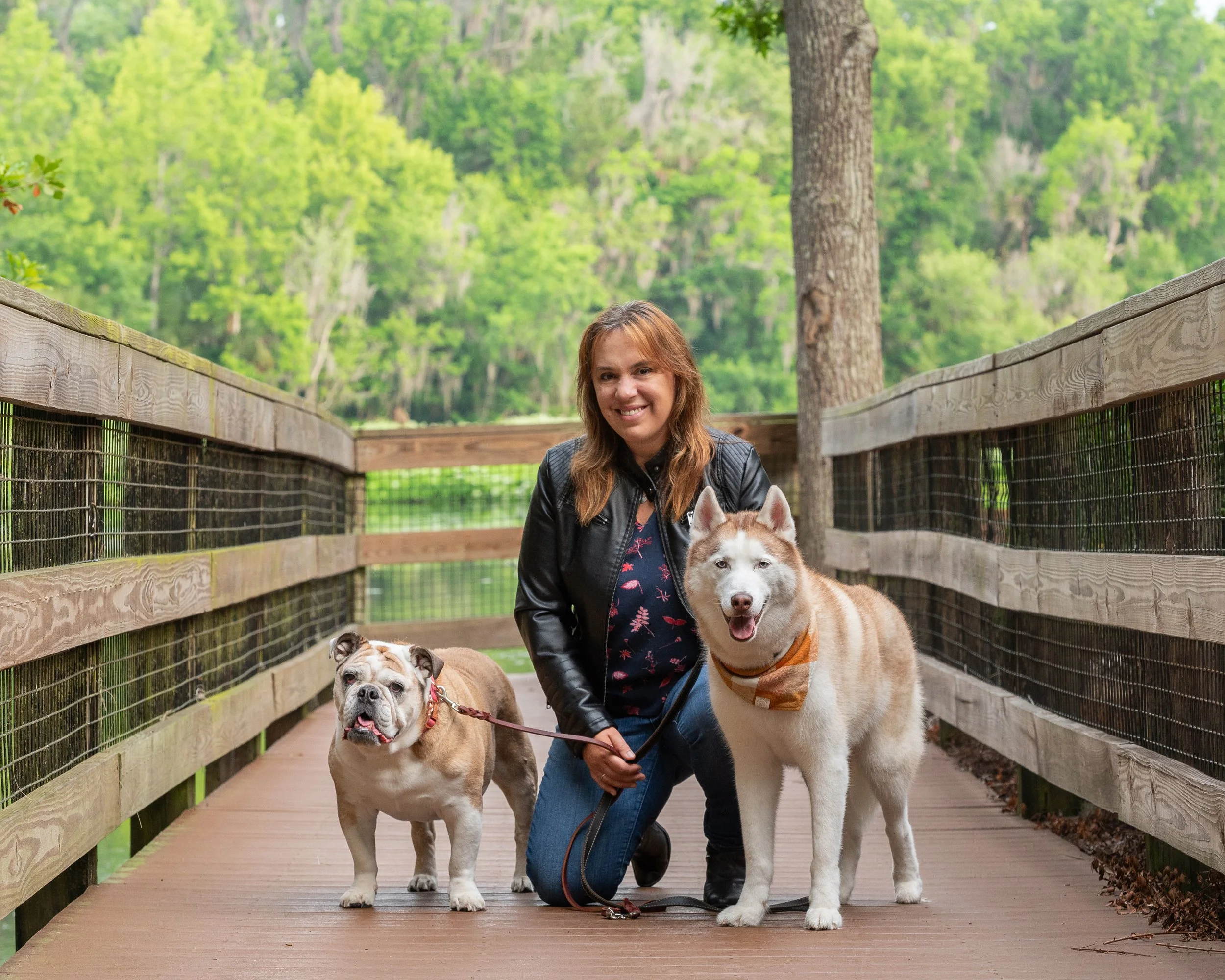 A woman crouching on a wooden bridge, holding two leashed dogs, one bulldog and one husky, with a lush green forest in the background.