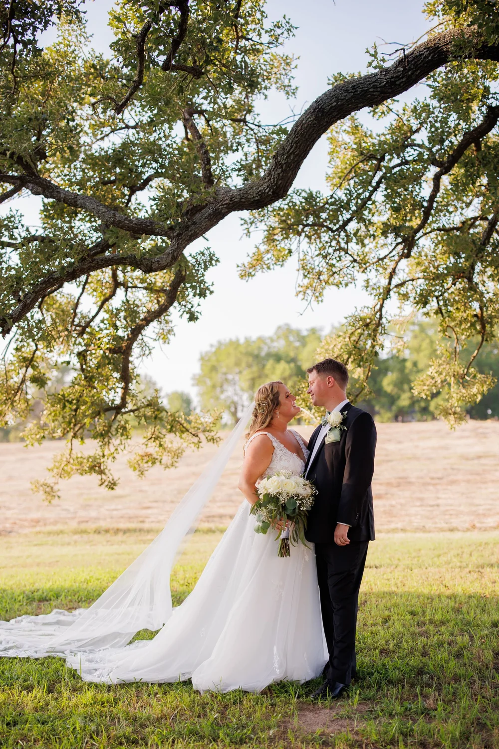 Bride and groom under a large oak tree