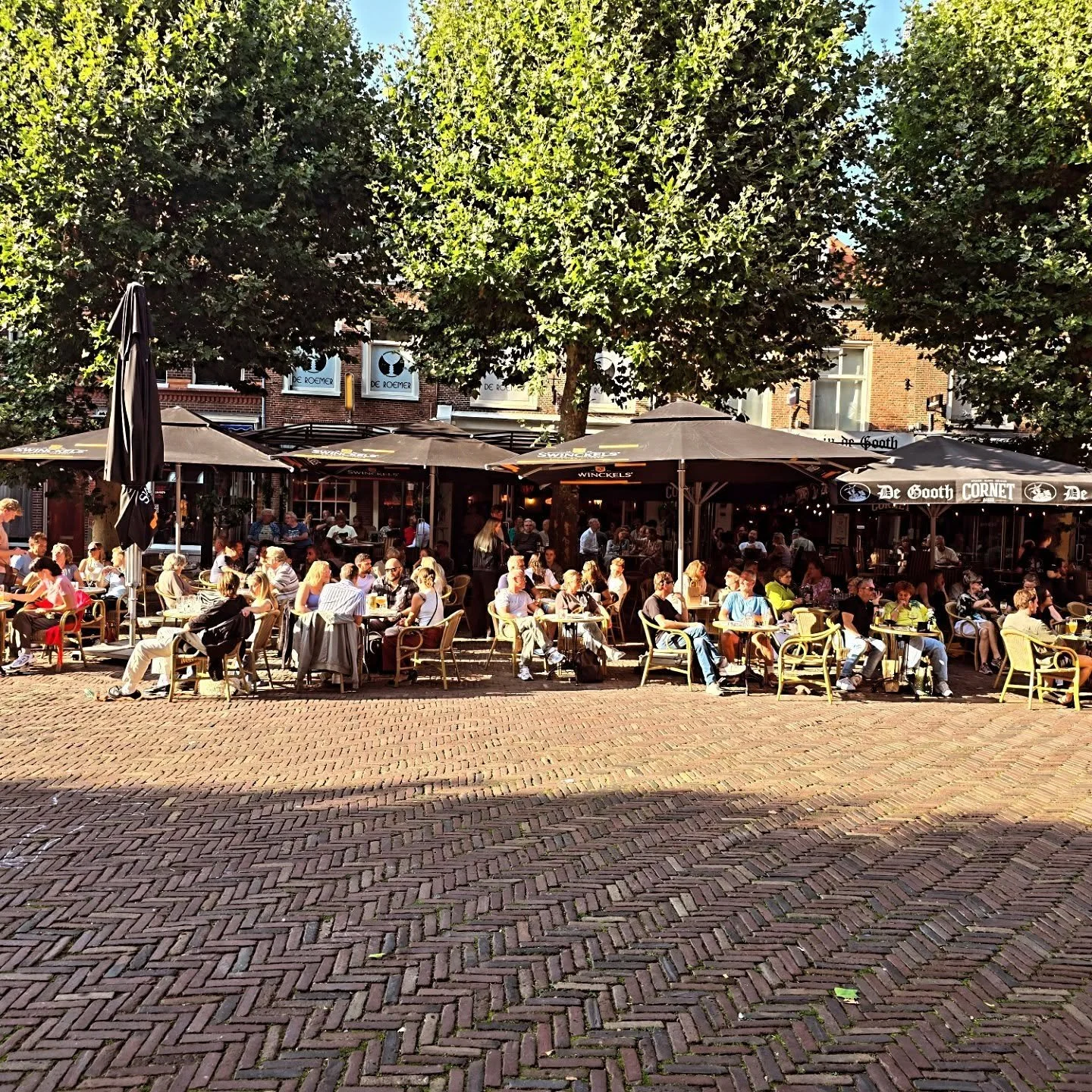 We kunnen weer zeggen: &ldquo;Kijk, de gevels zo mooi!&rdquo;
Oh nee, toch niet&hellip; de bomen doen stoer en tooi.
Vroeger twee keer per jaar, netjes gesnoeid,
maar sinds twee jaar is dat plan nooit meer geboeid.

Hij is weg&hellip; onze grote trot