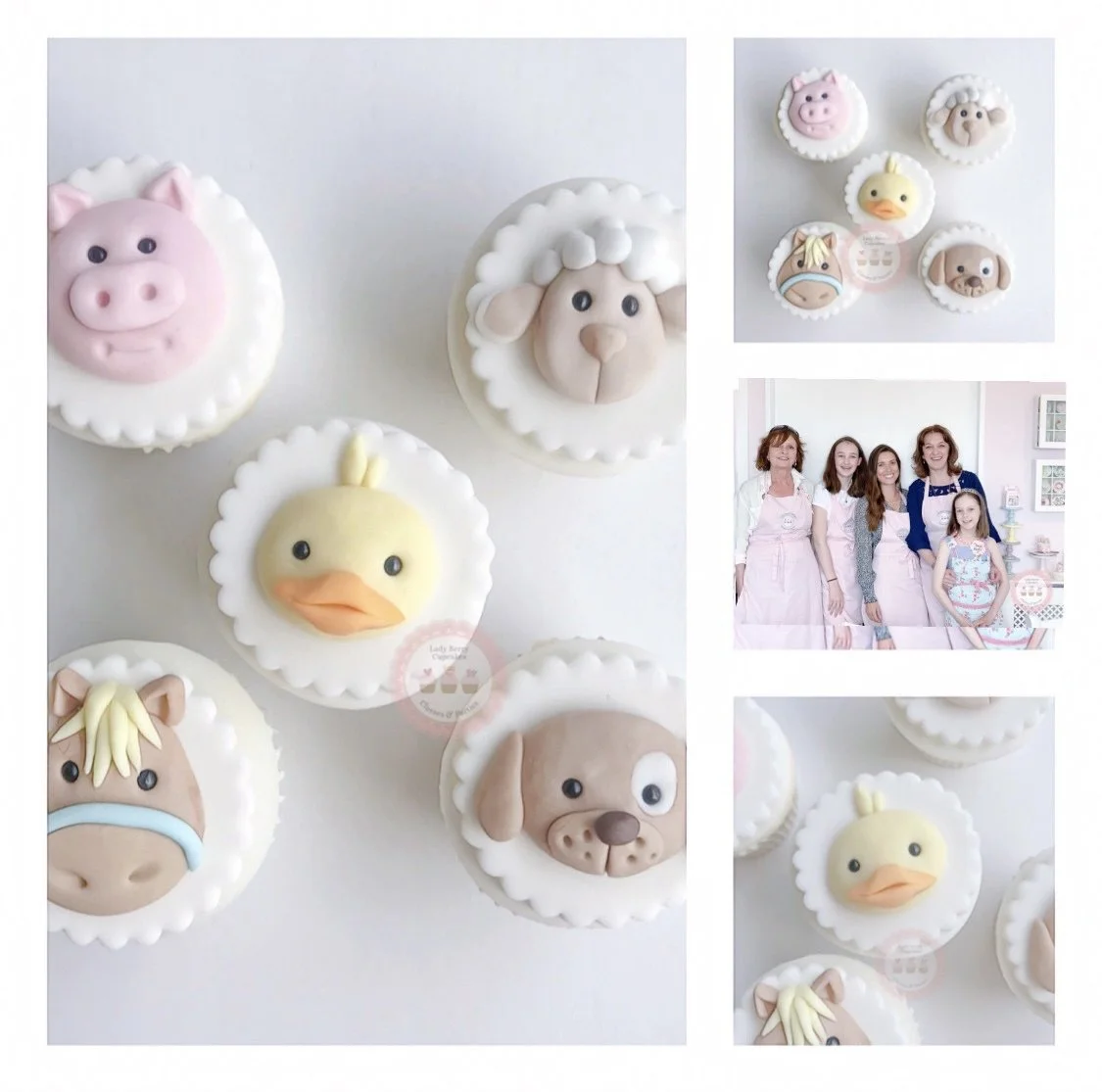 Adult Farm Animal Class