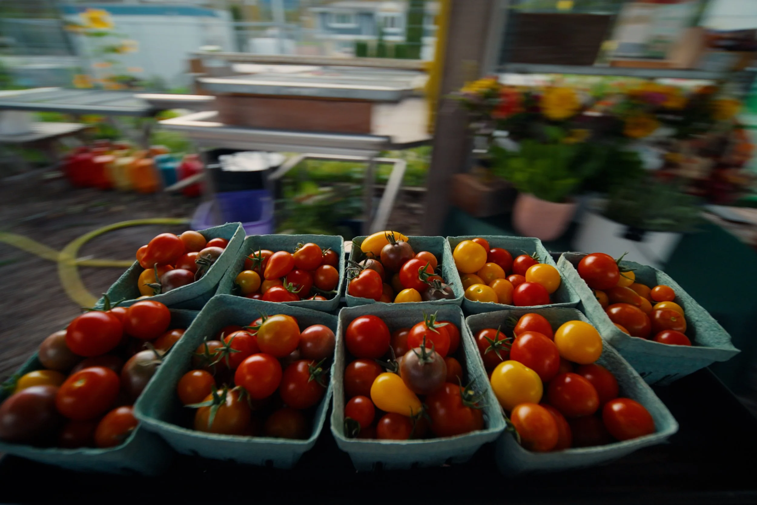 Trailer_DC_Final_Export.00_00_40_11.Still013.jpg
