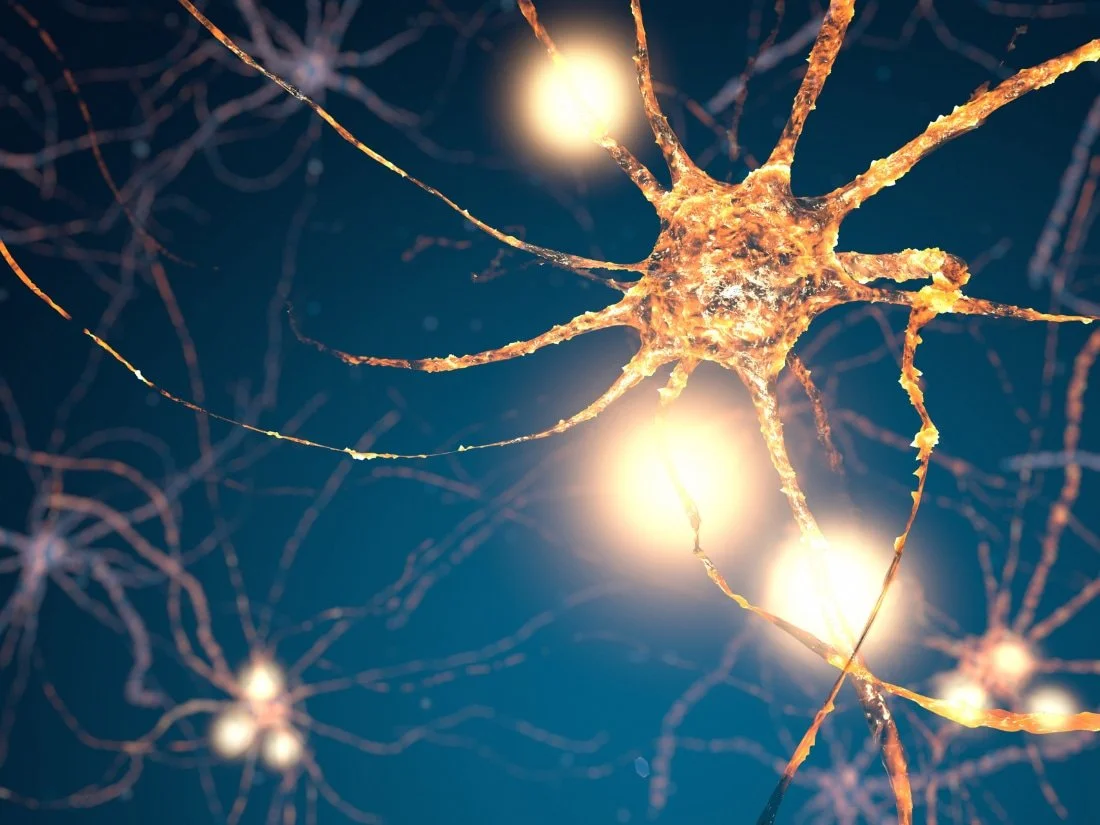 Blue and yellow image of neurons