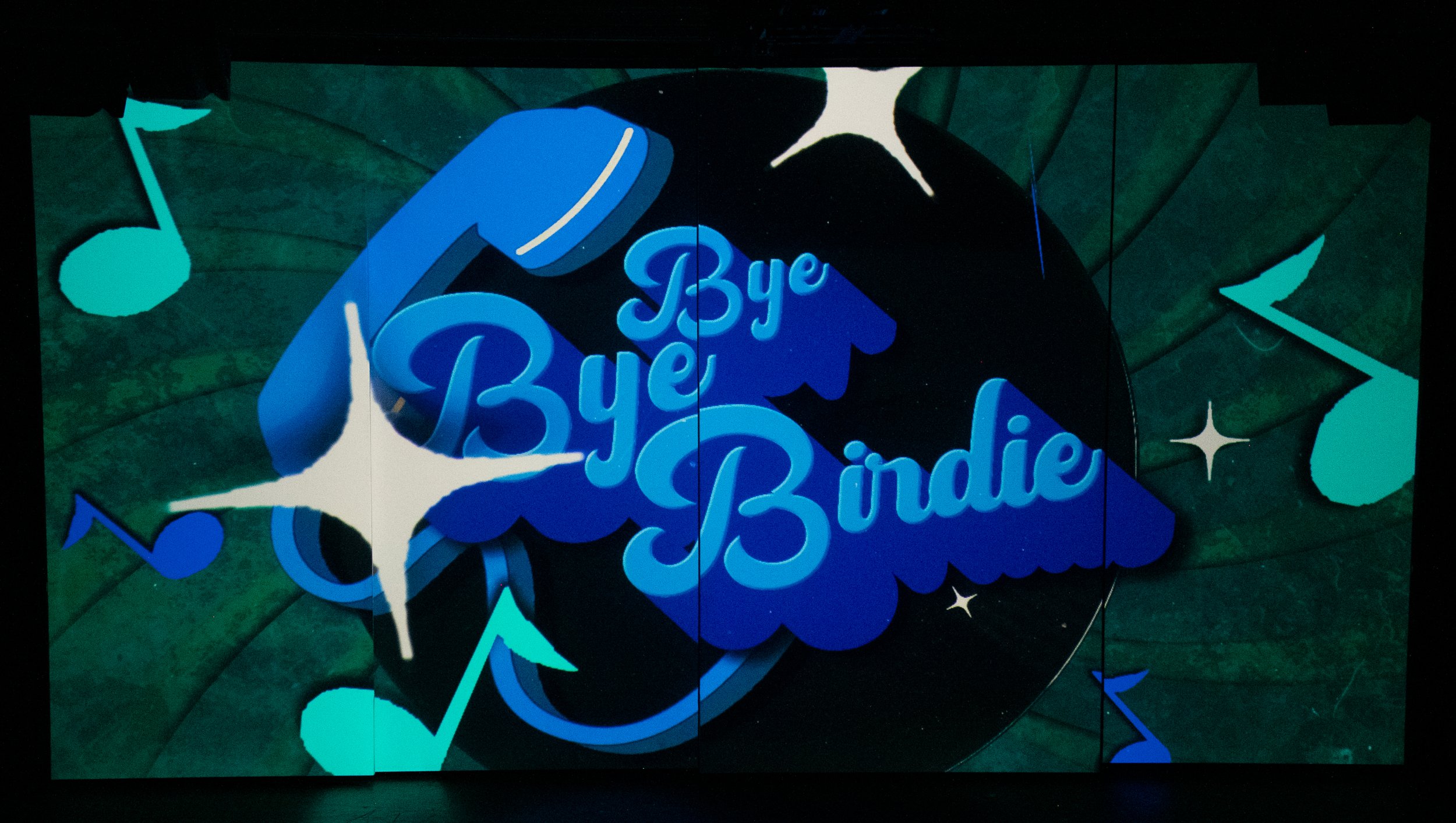 Bye Bye Birdie-01.jpg