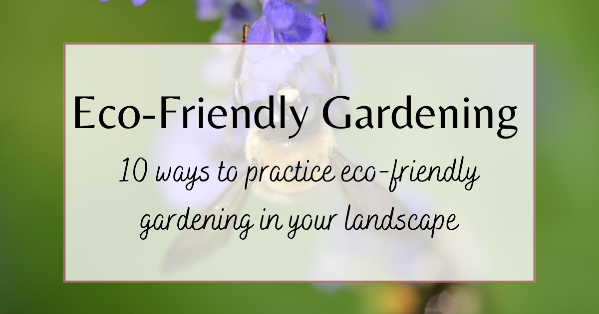 Regenerative VS Permaculture: 10 Eco-Friendly Gardening Practices