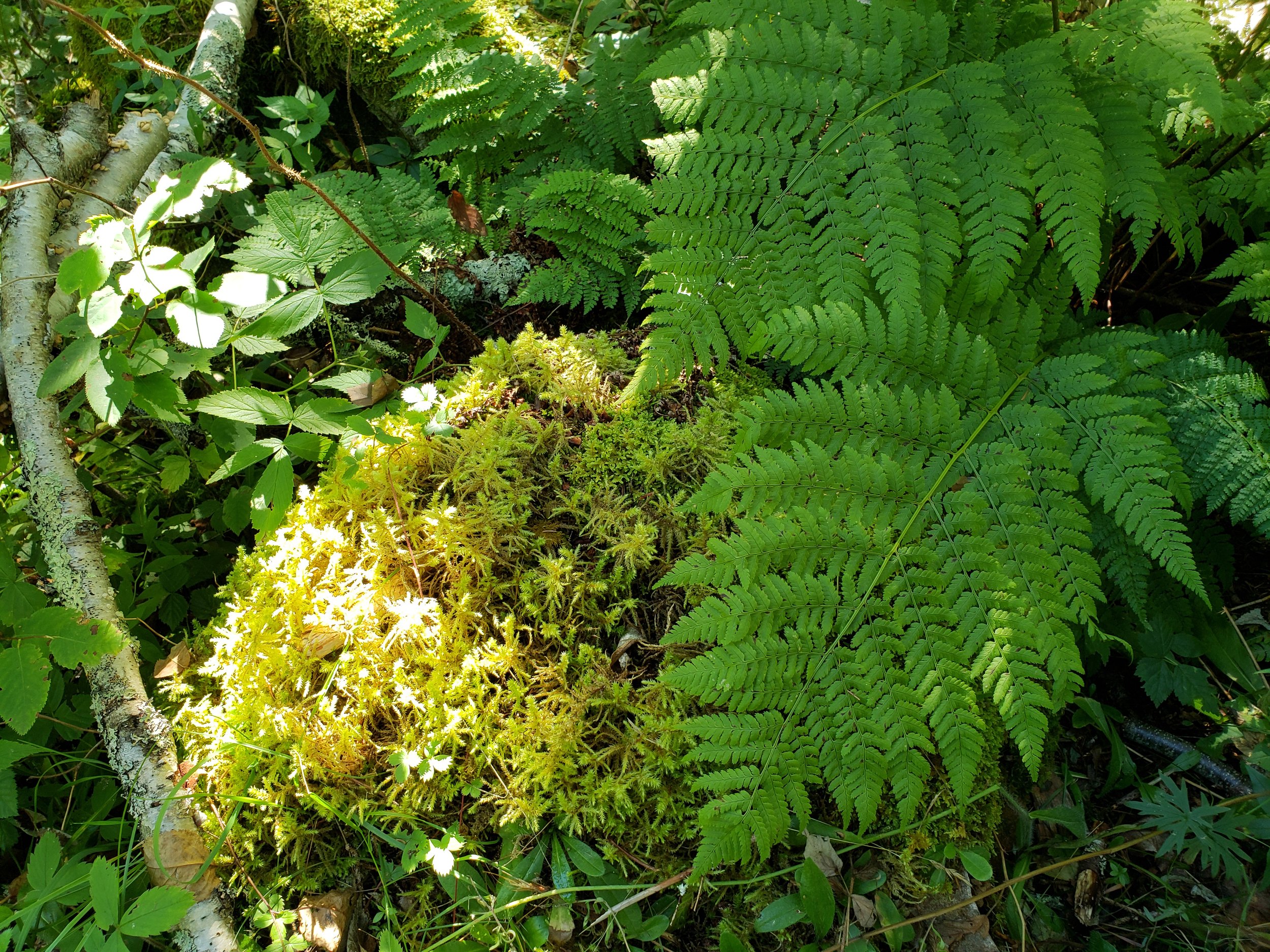 20180810_103027.jpg