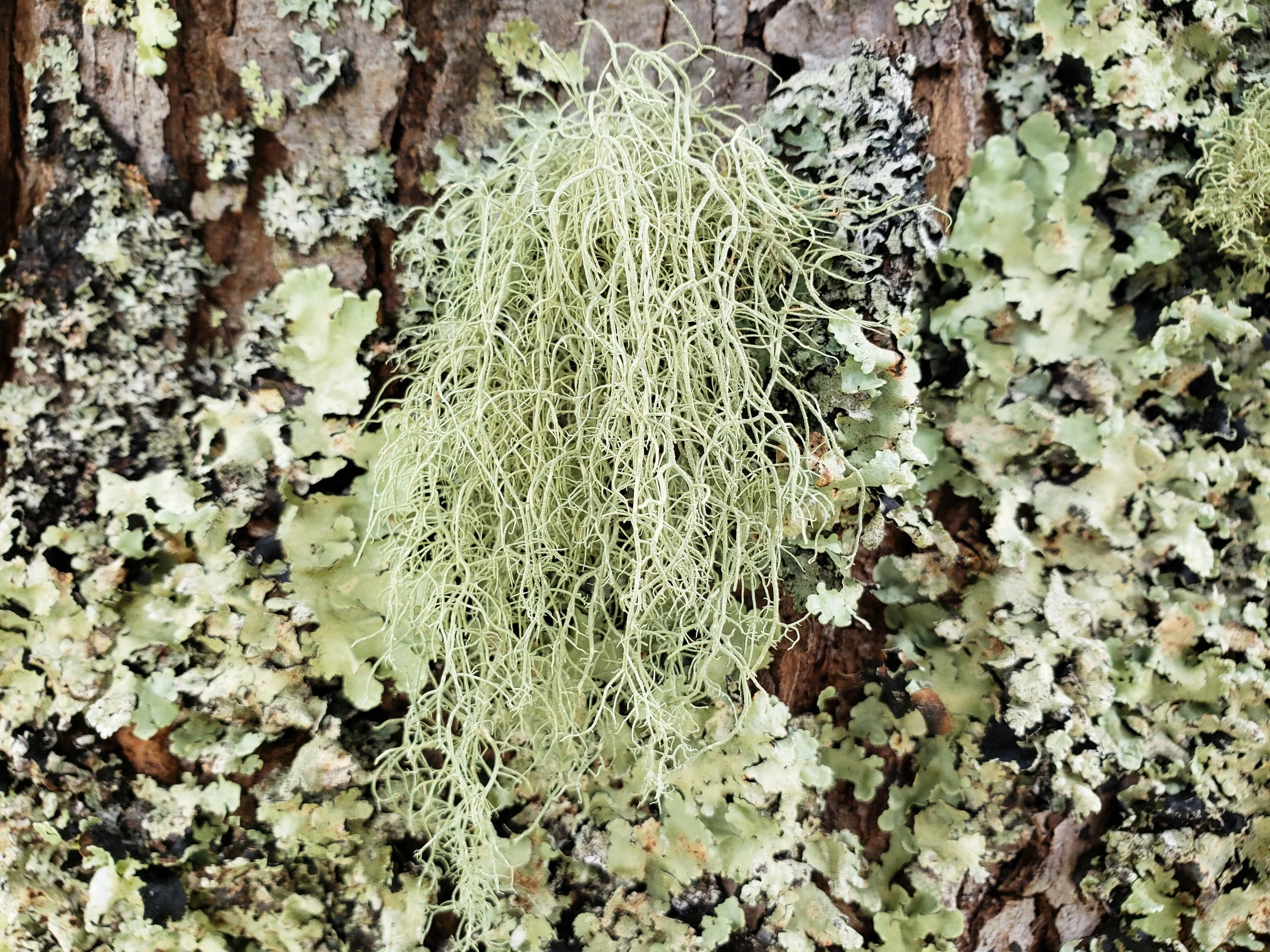 20180702_080928.jpg