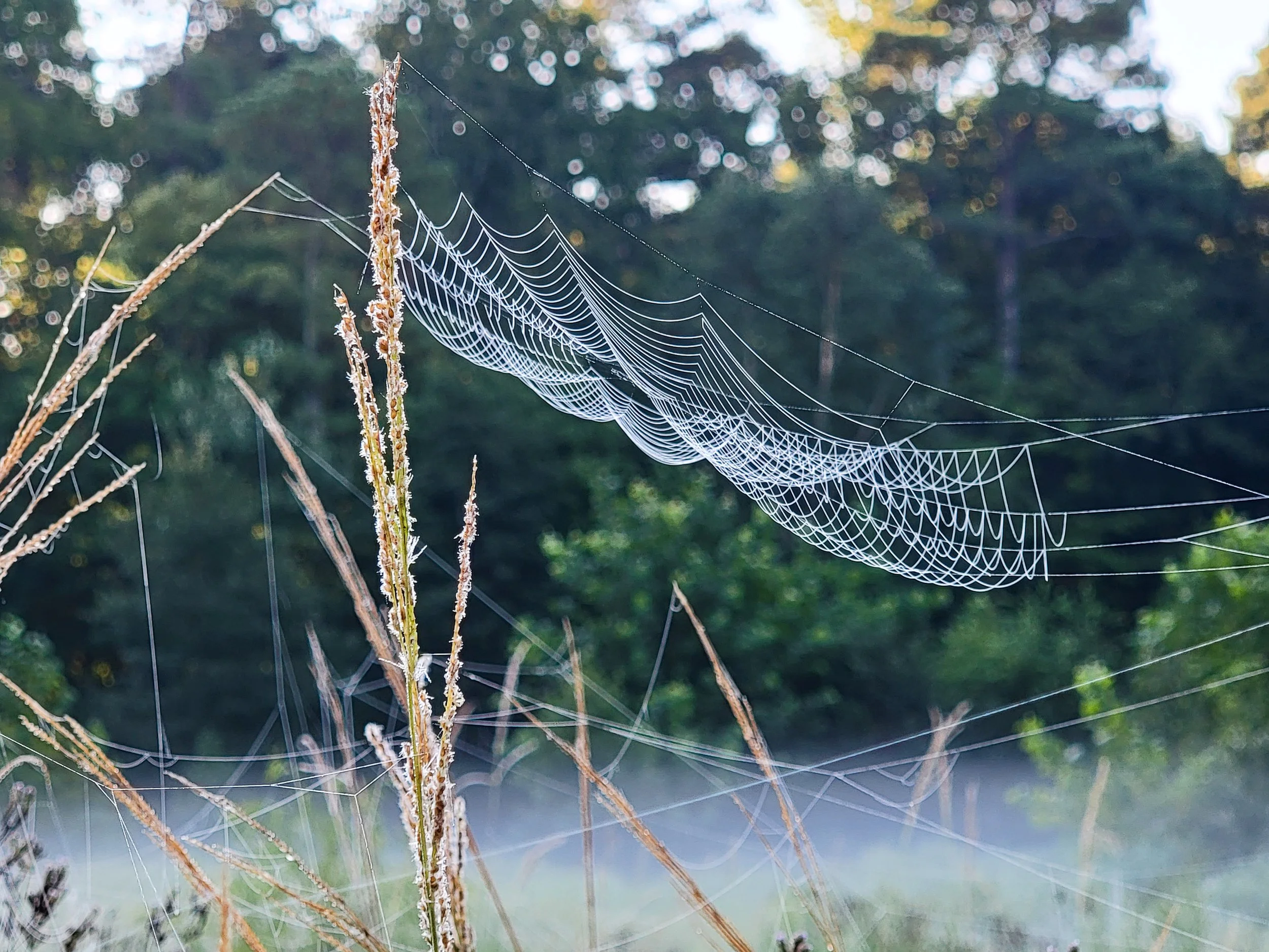 20210907_074508.jpg