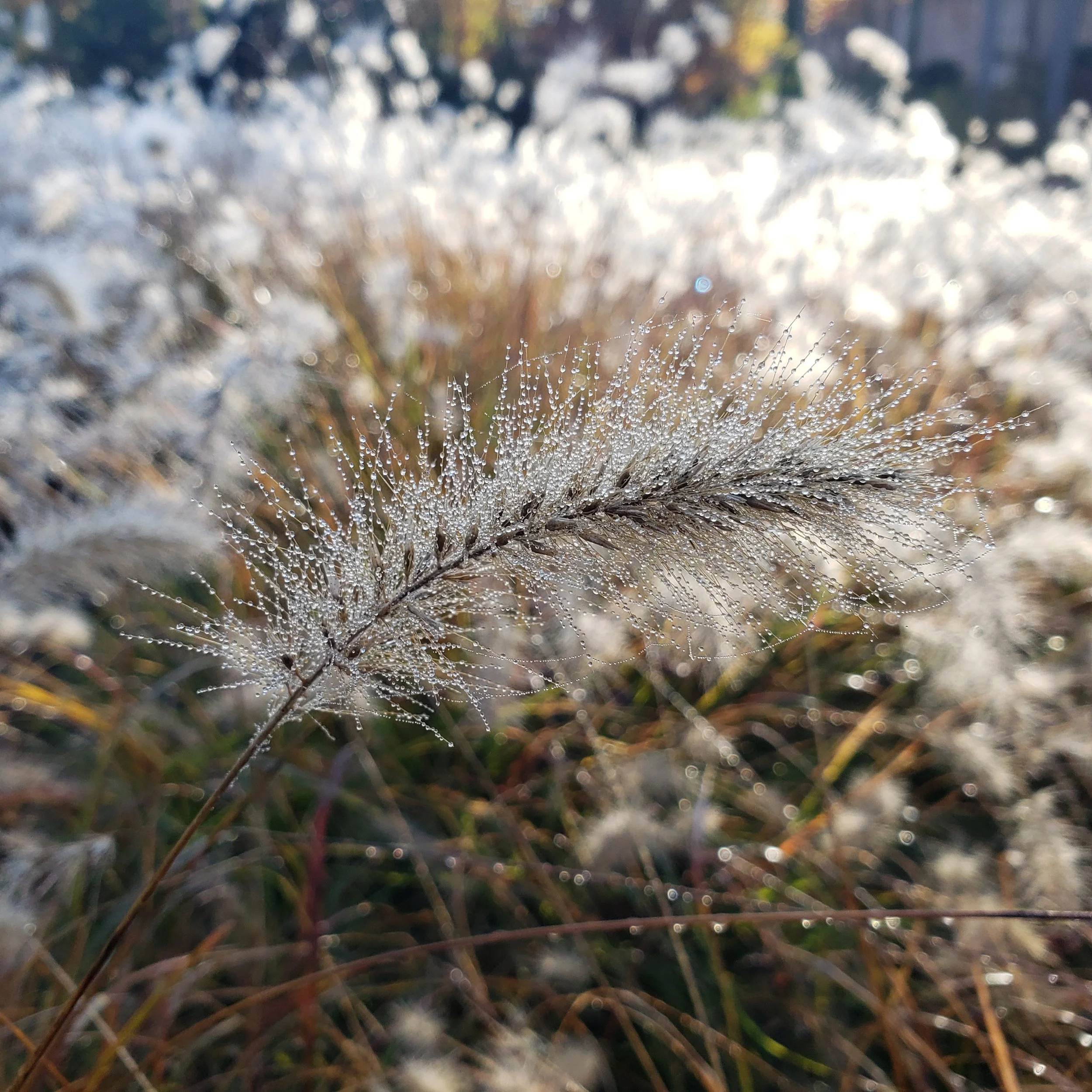 20201109_082534.jpg