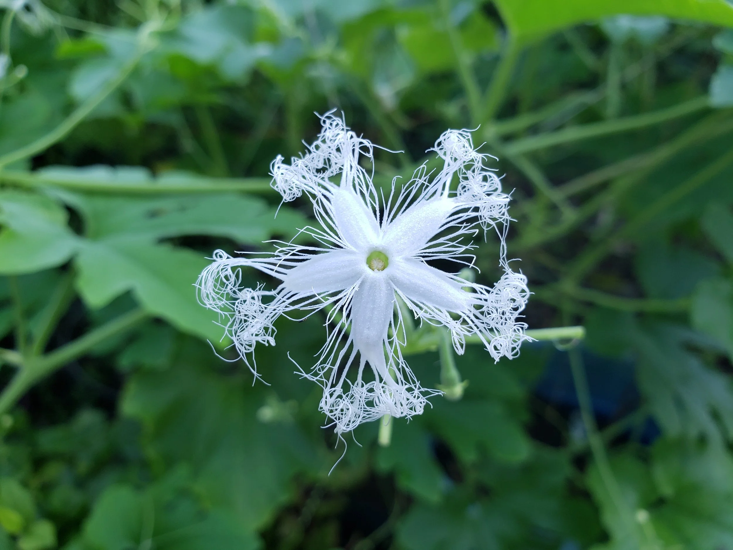 20200904_075143.jpg