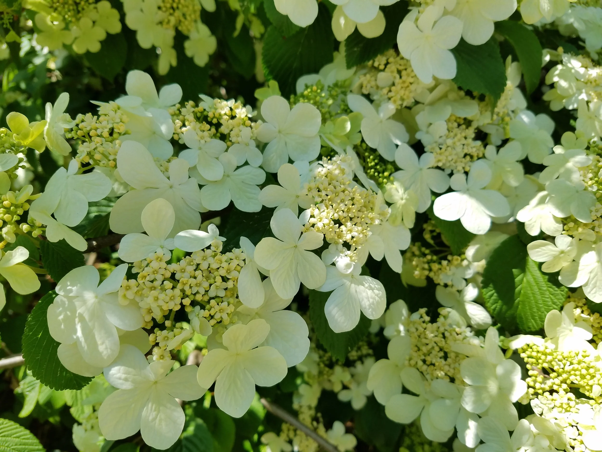 20180412_120937.jpg