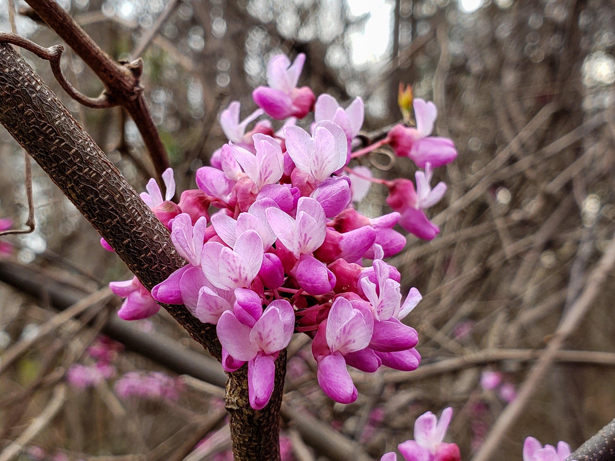 20190325_084827.jpg