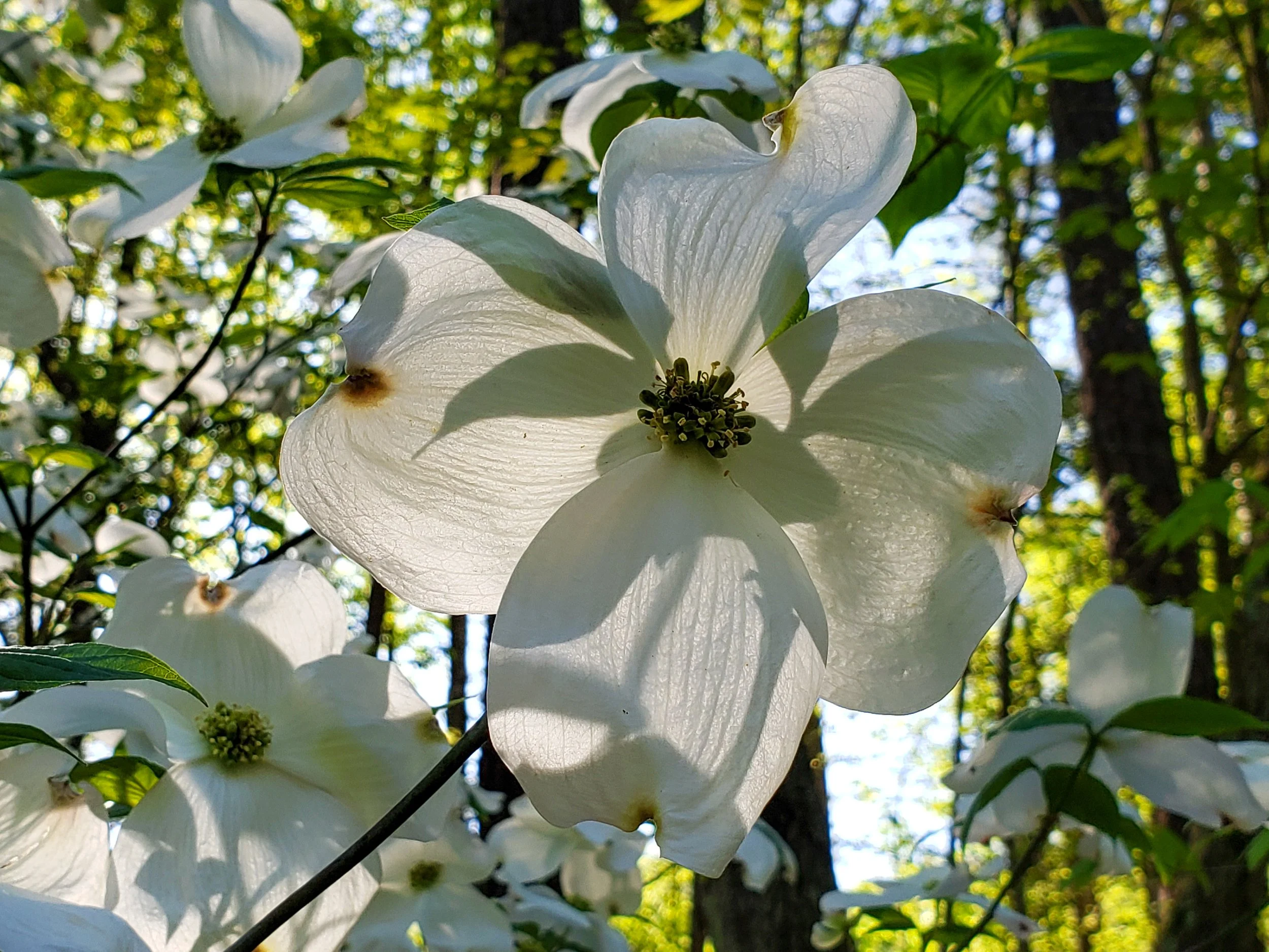20190417_085333.jpg