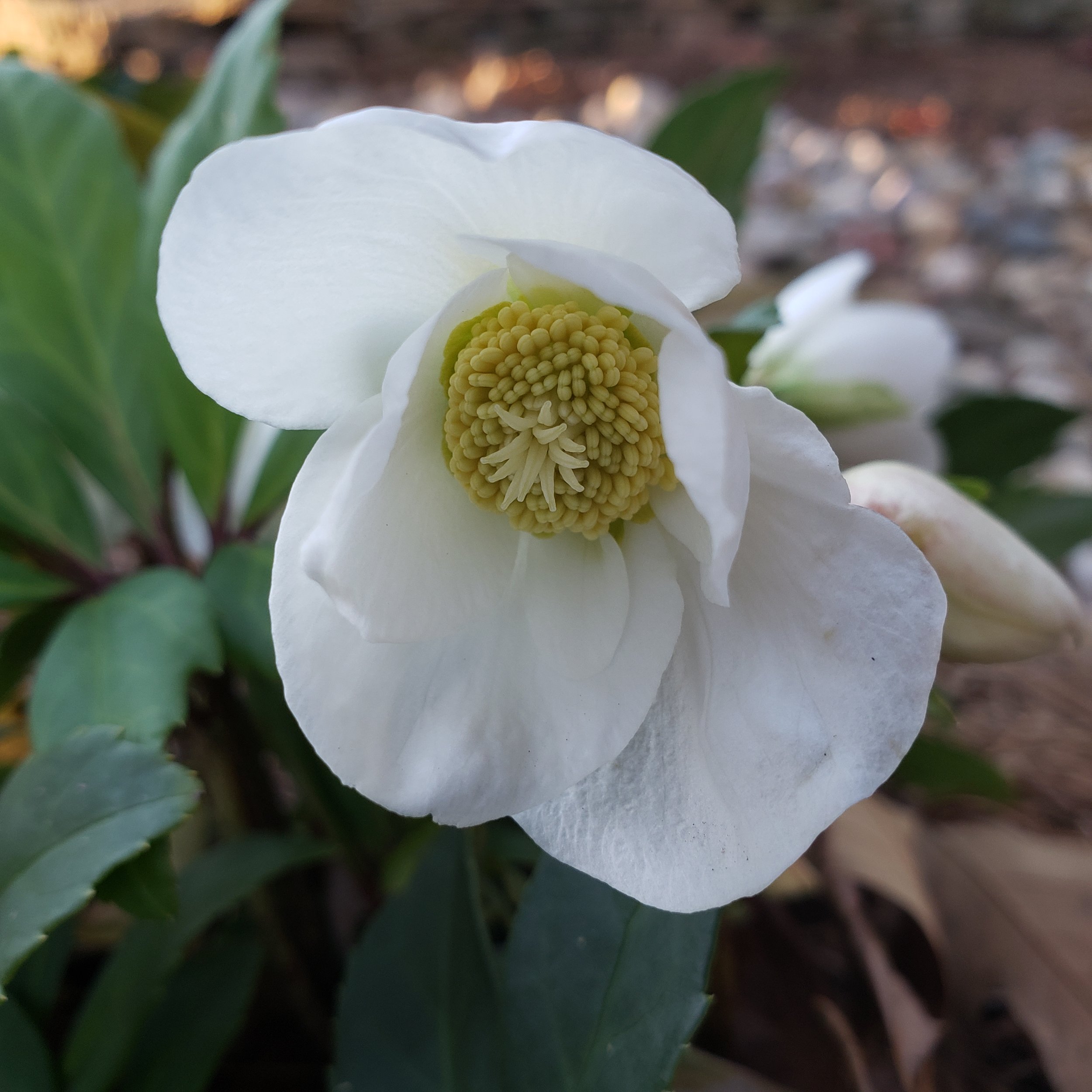 20201222_162350.jpg