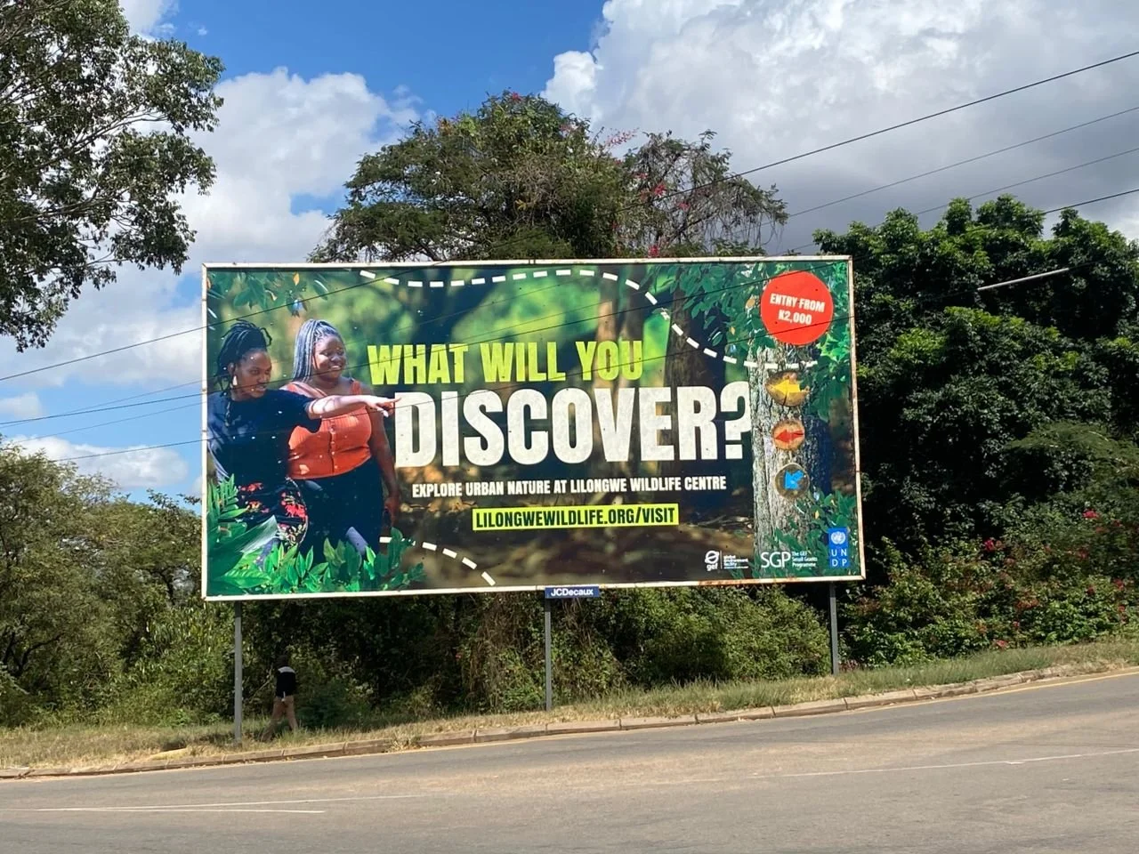 Billboard advertising the Lilongwe Wildlife Centre with two women looking at nature, green foliage, colorful directional signs on a tree, and a blue sky with clouds.