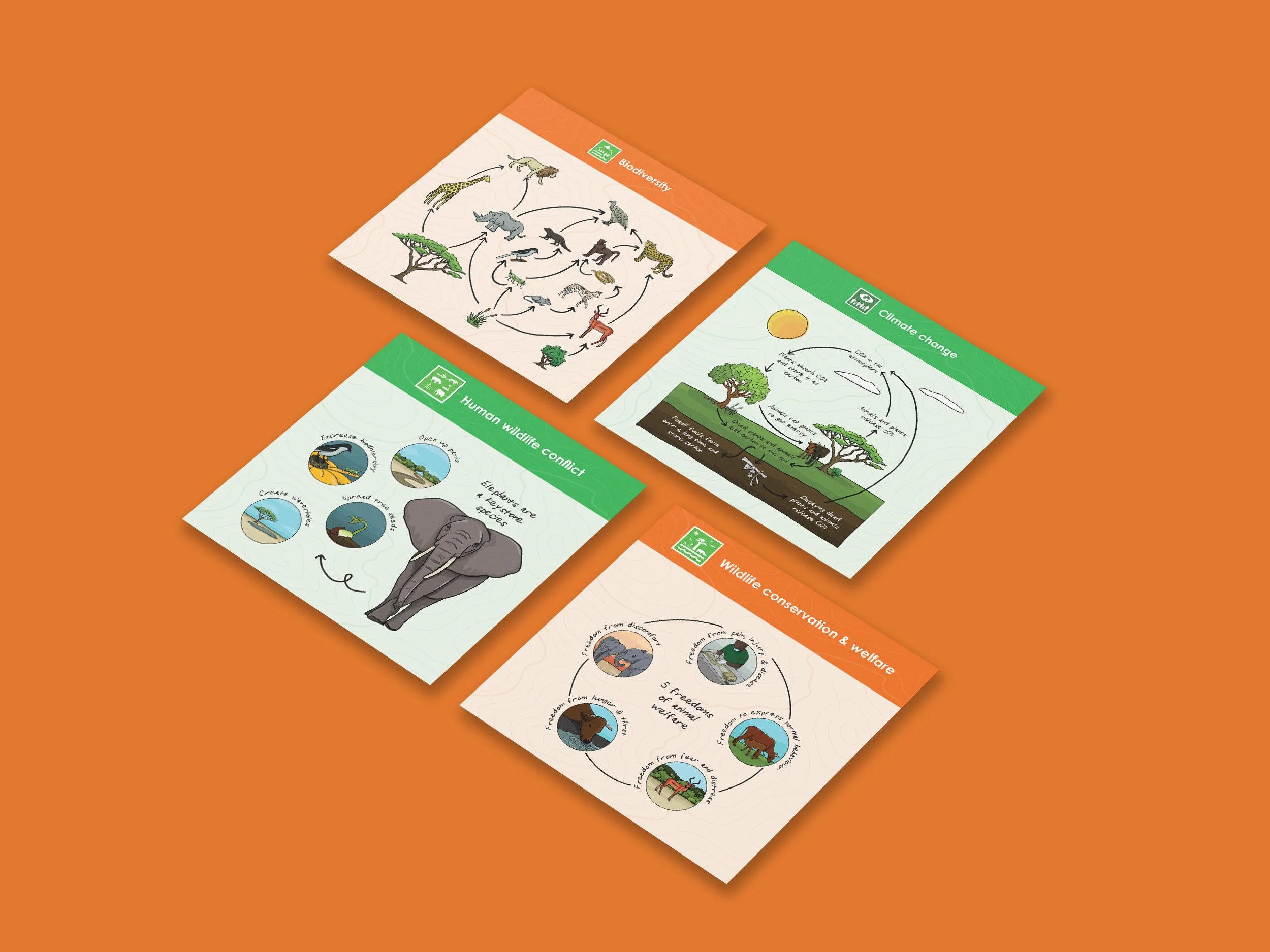 Four illustrated educational posters for Lilongwe Wildlife Trust about biodiversity, climate change, and human-wildlife conflict, featuring illustrations of animals and ecosystems on an orange background. 
